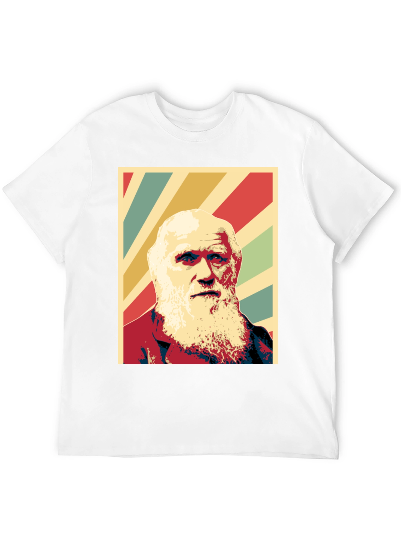 Black Darwin Graphic Print T-Shirt - Black view 12