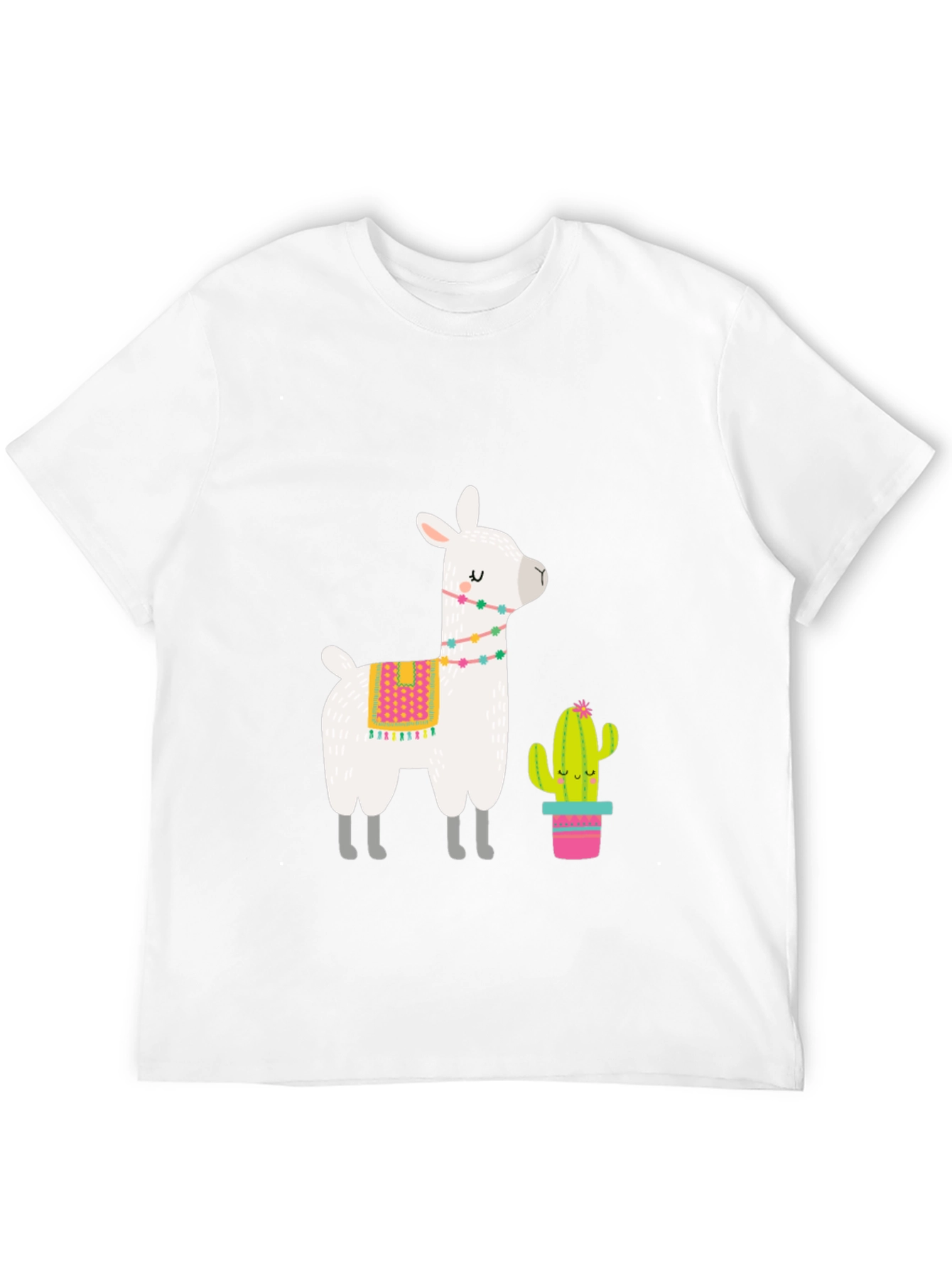 Black Llama & Cactus Graphic Tee - Black view 12