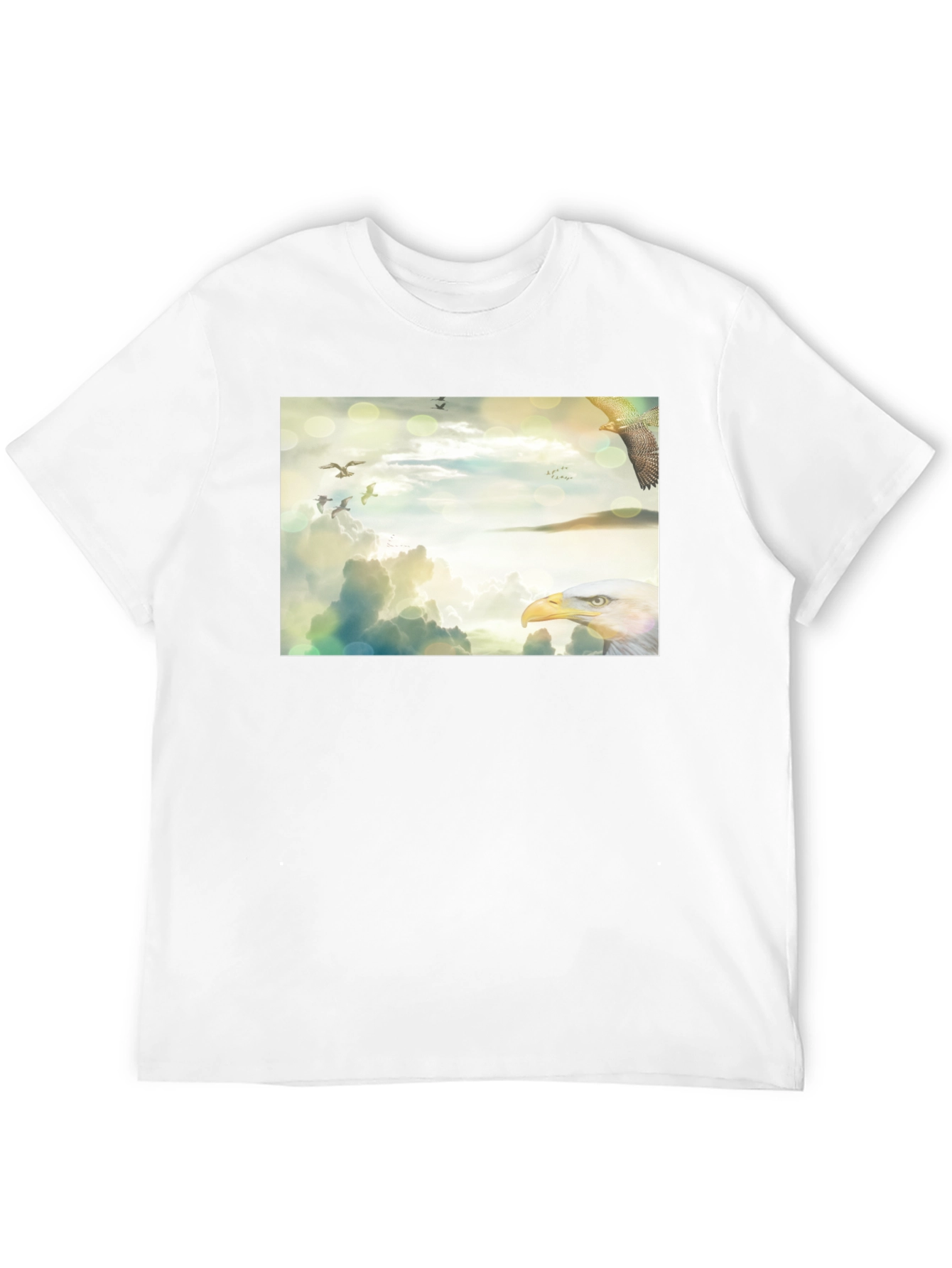 Black Eagle Sky Print Black T-Shirt view 12