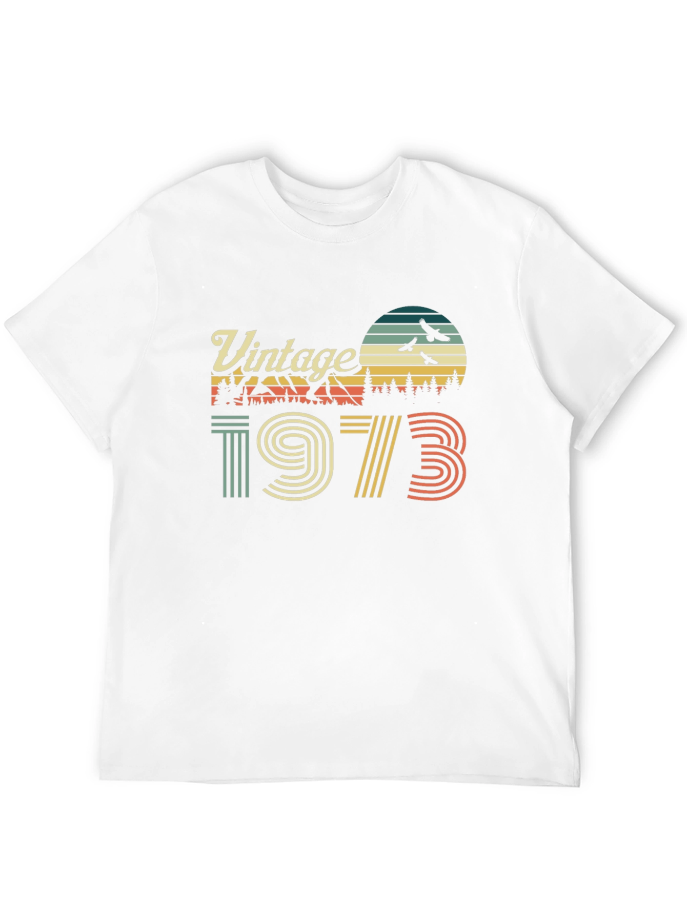 Black Vintage 1973 Graphic T-Shirt view 12