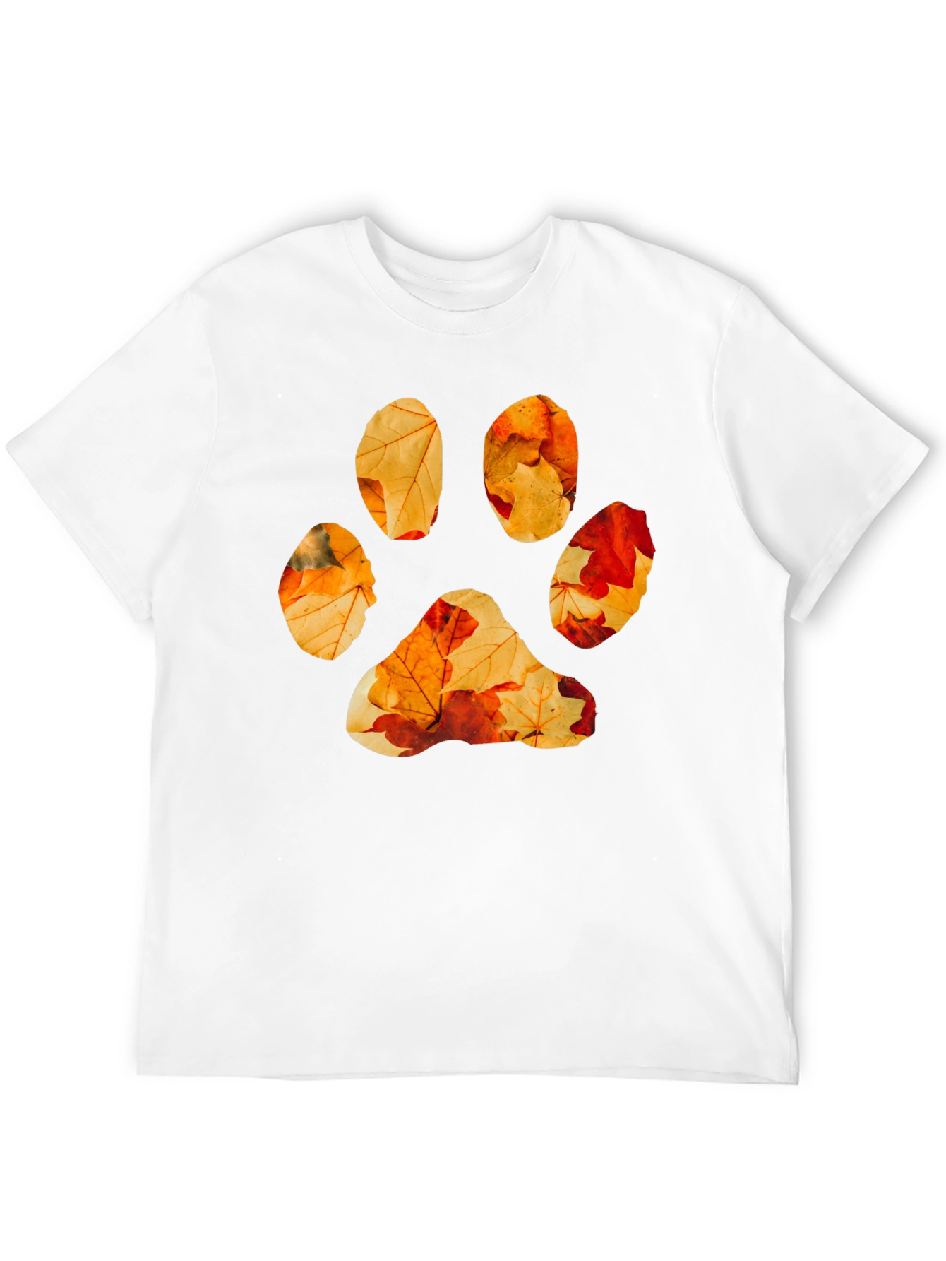 Black Fall Leaves Paw Print Graphic Tee - Black Cotton view 12