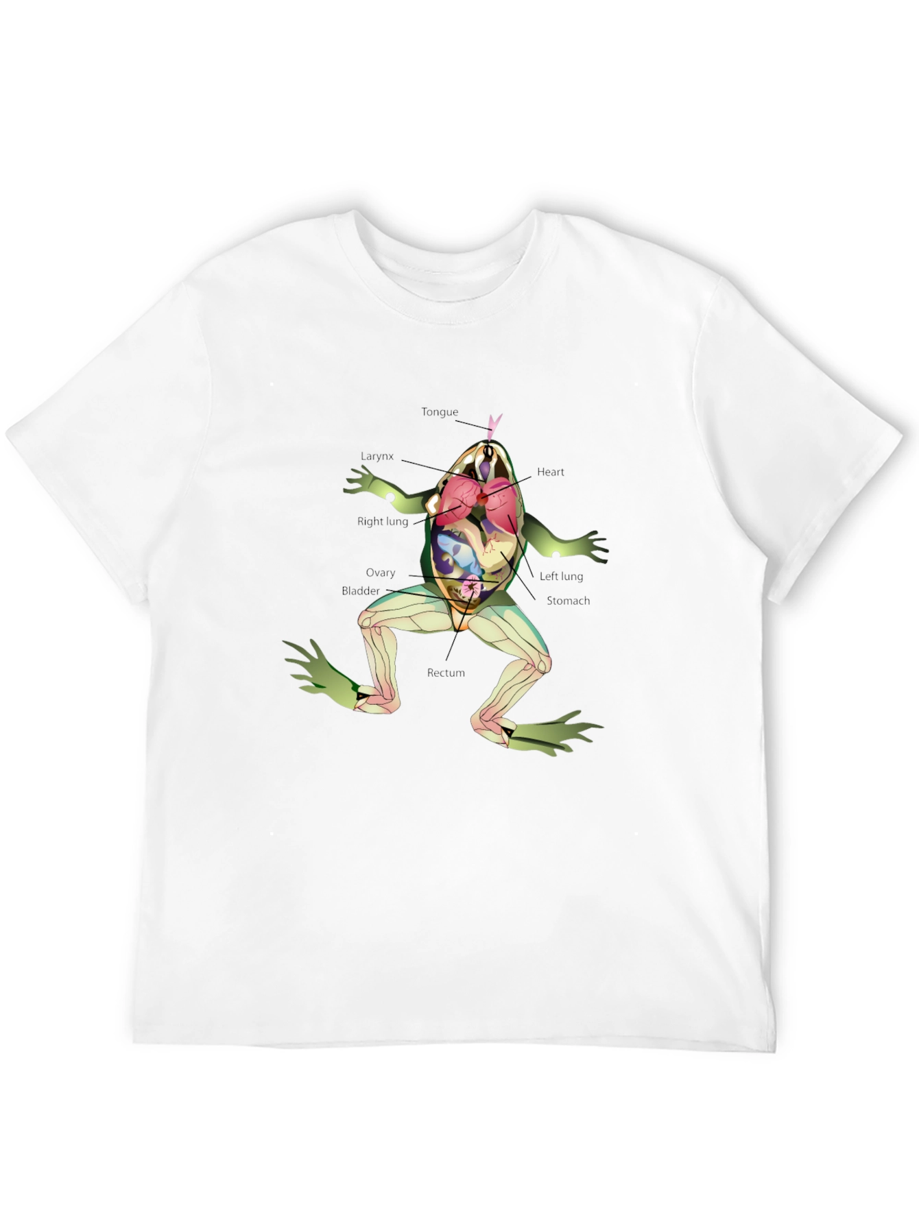 Black Anatomy Frog T-Shirt view 12