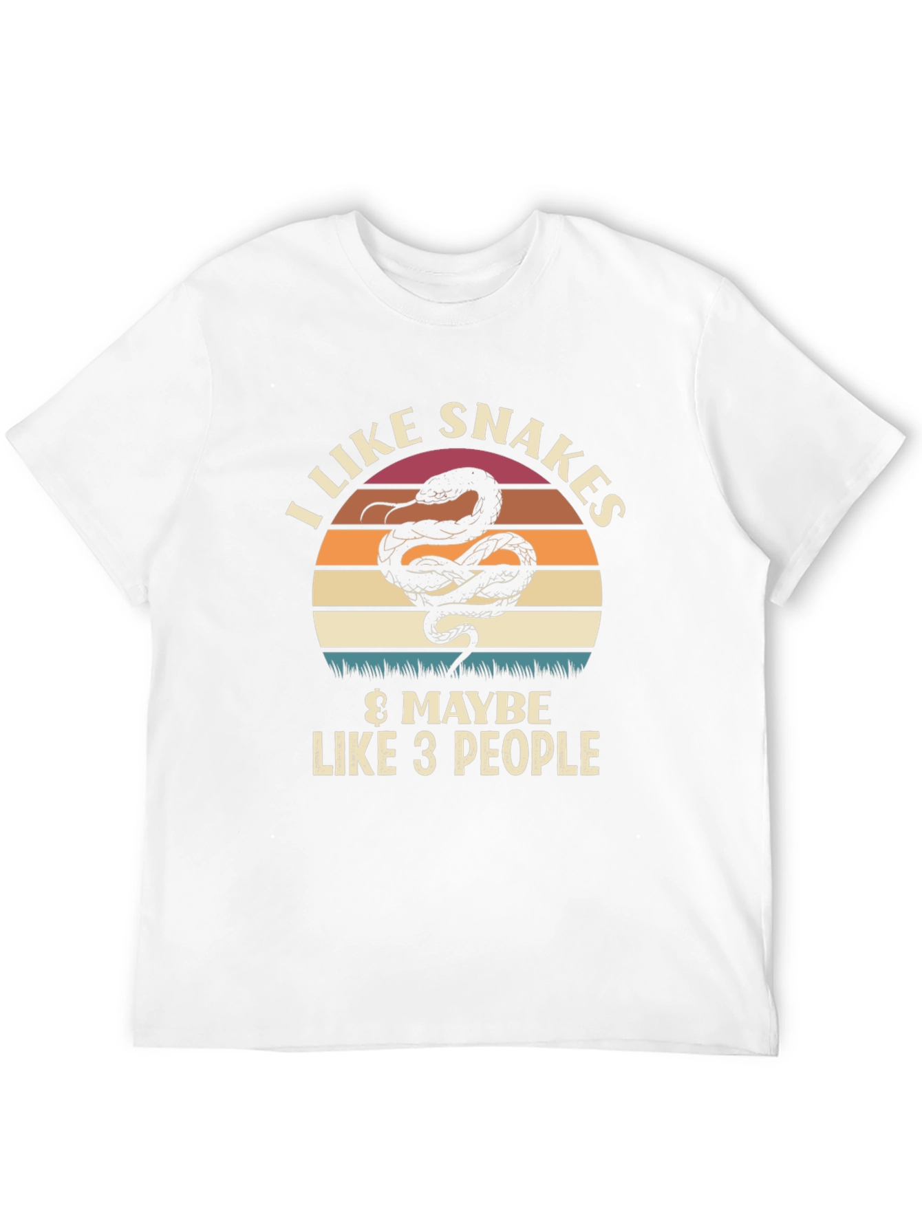 Black I Like Snakes & Maybe Like 3 People Graphic T-Shirt view 12