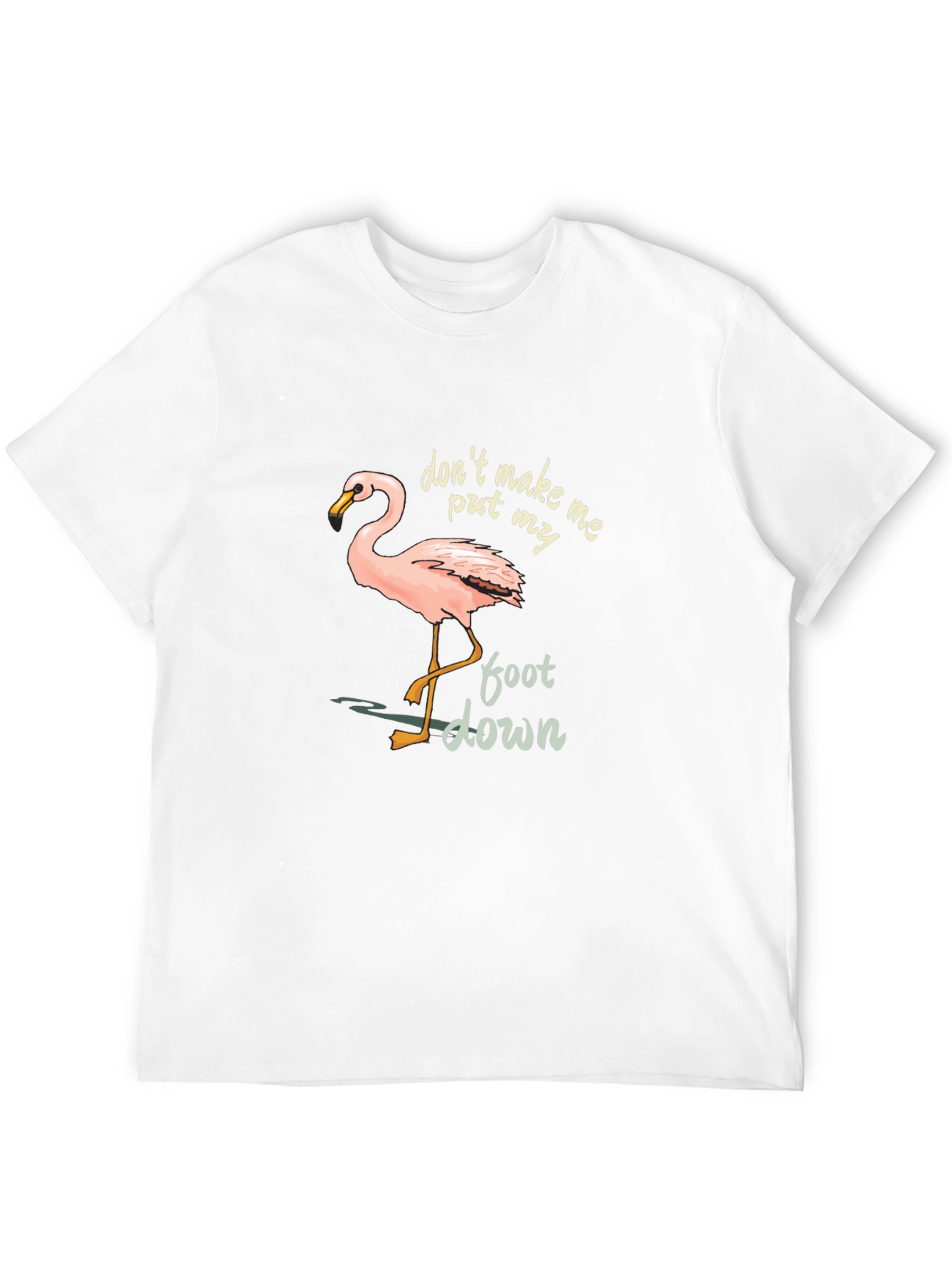 Black Flamingo Graphic Tee: Don't Make Me Put My Foot Down view 12