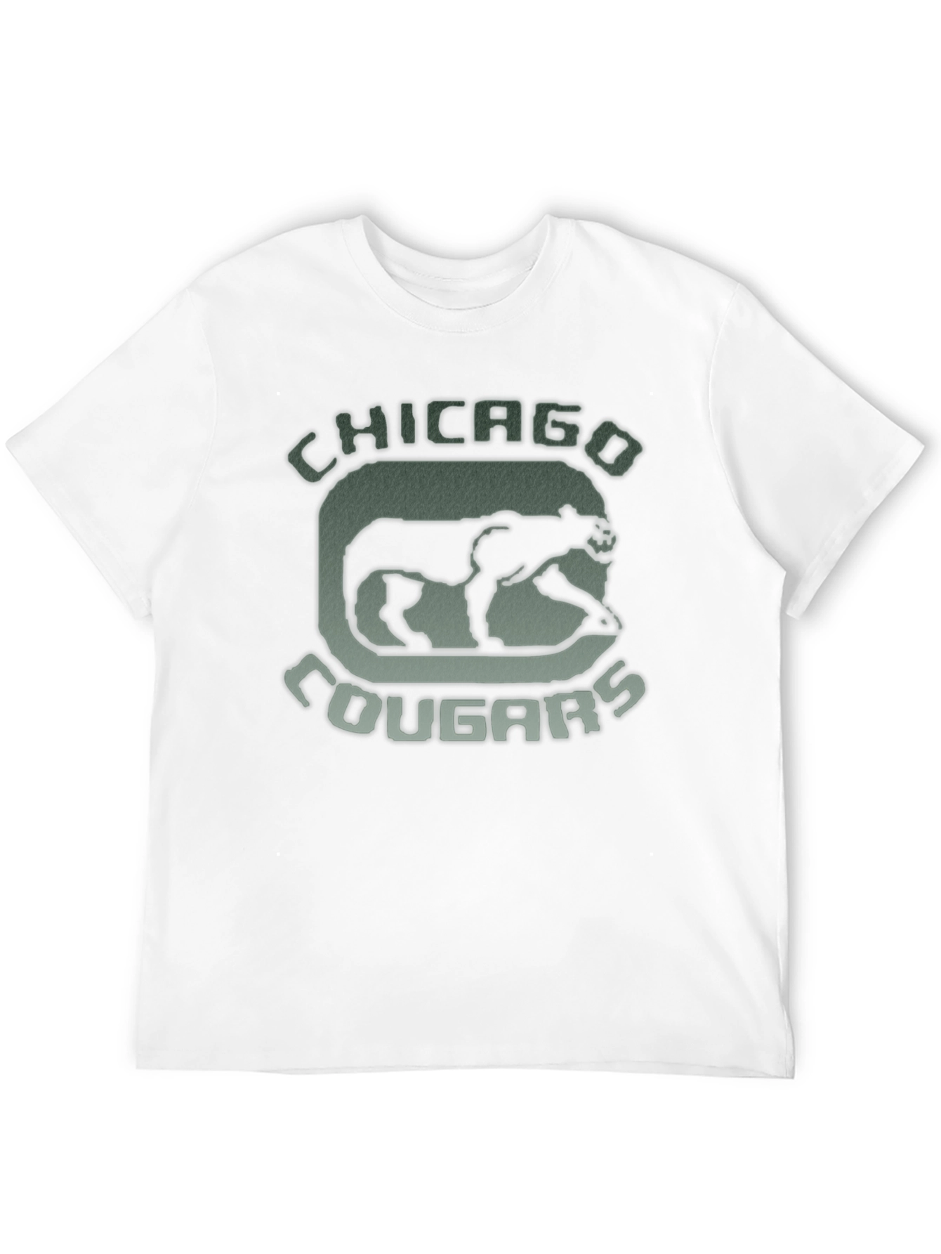 Black Chicago Cougars Vintage Graphic Tee view 12