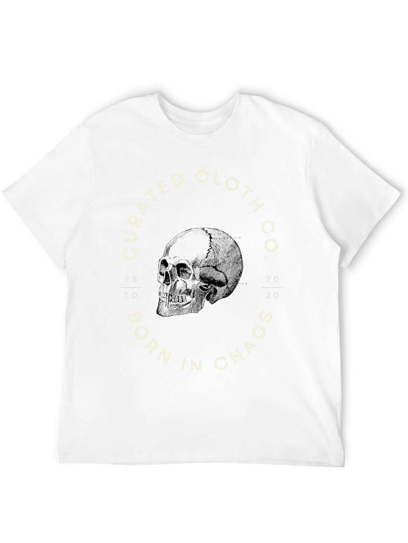 Black Curated Cloth Co. Skull Graphic Tee view 12