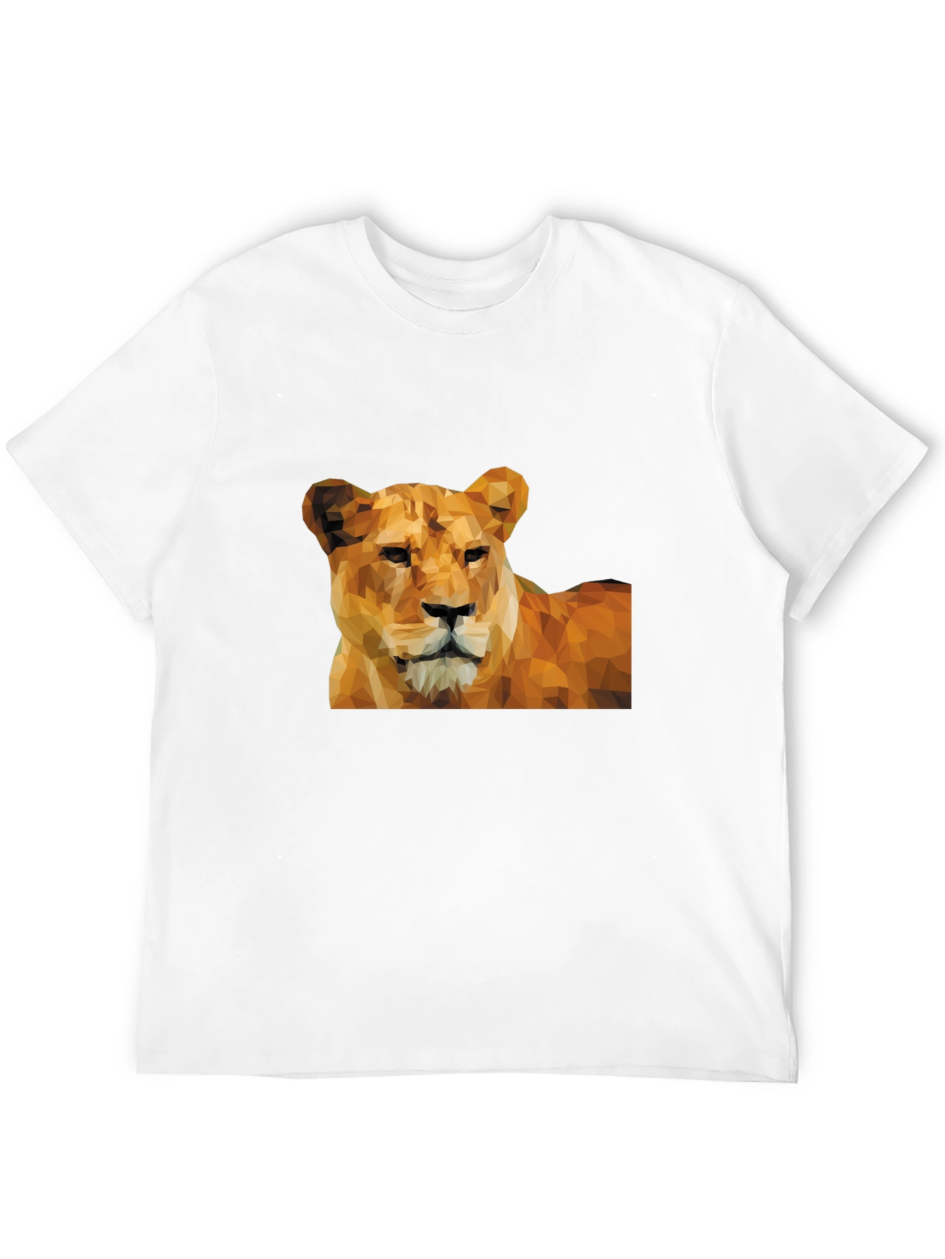 Black Lioness Graphic Print Black T-Shirt view 12