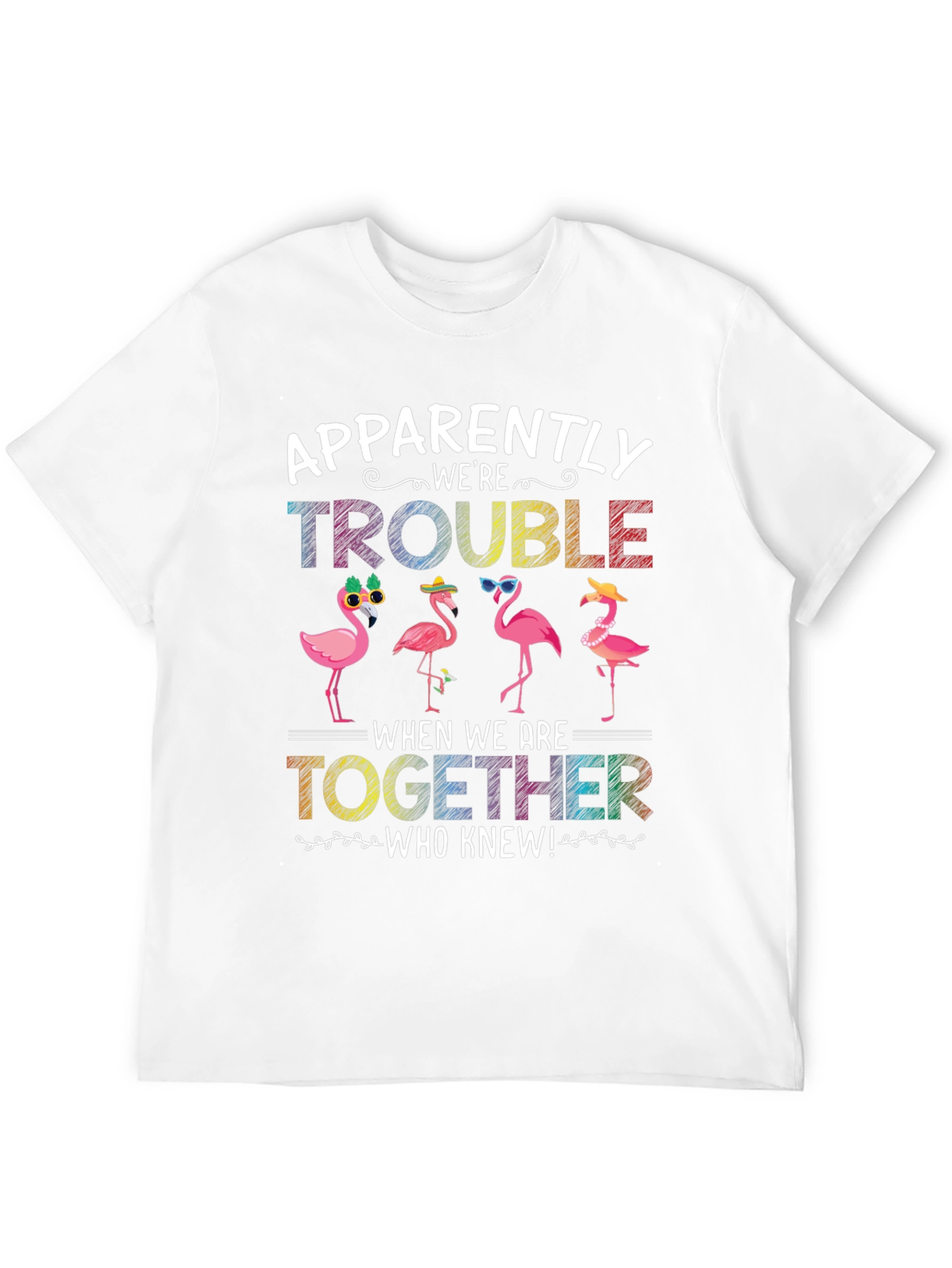 Black Flamingo Trouble Graphic T-Shirt view 12