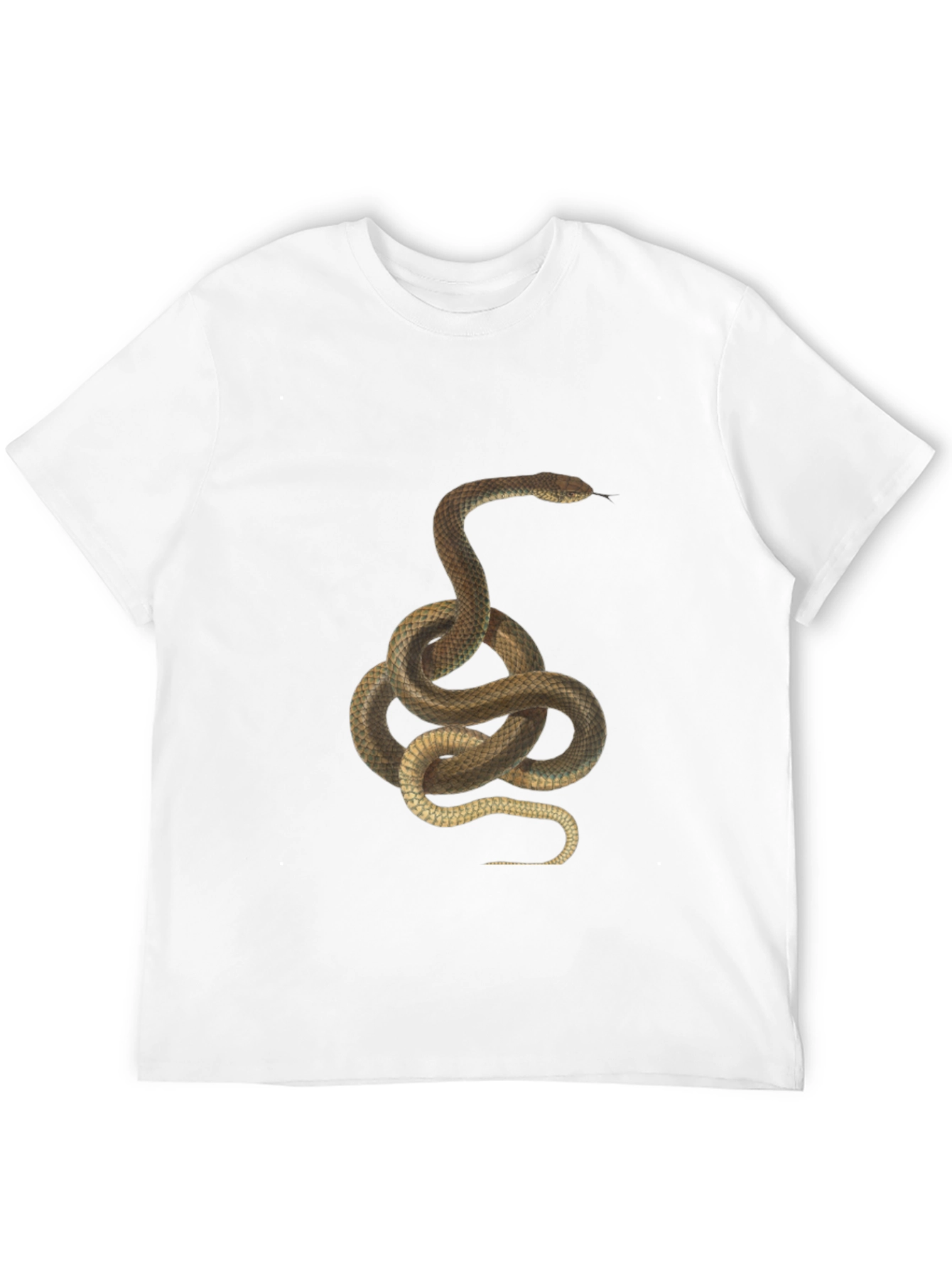 Black Snake Graphic Print T-Shirt - Classic Black Tee view 12