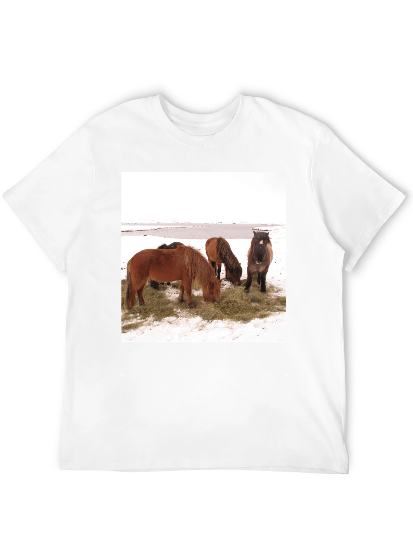 Black Horse Scene Graphic Tee - Unisex Black T-Shirt view 12