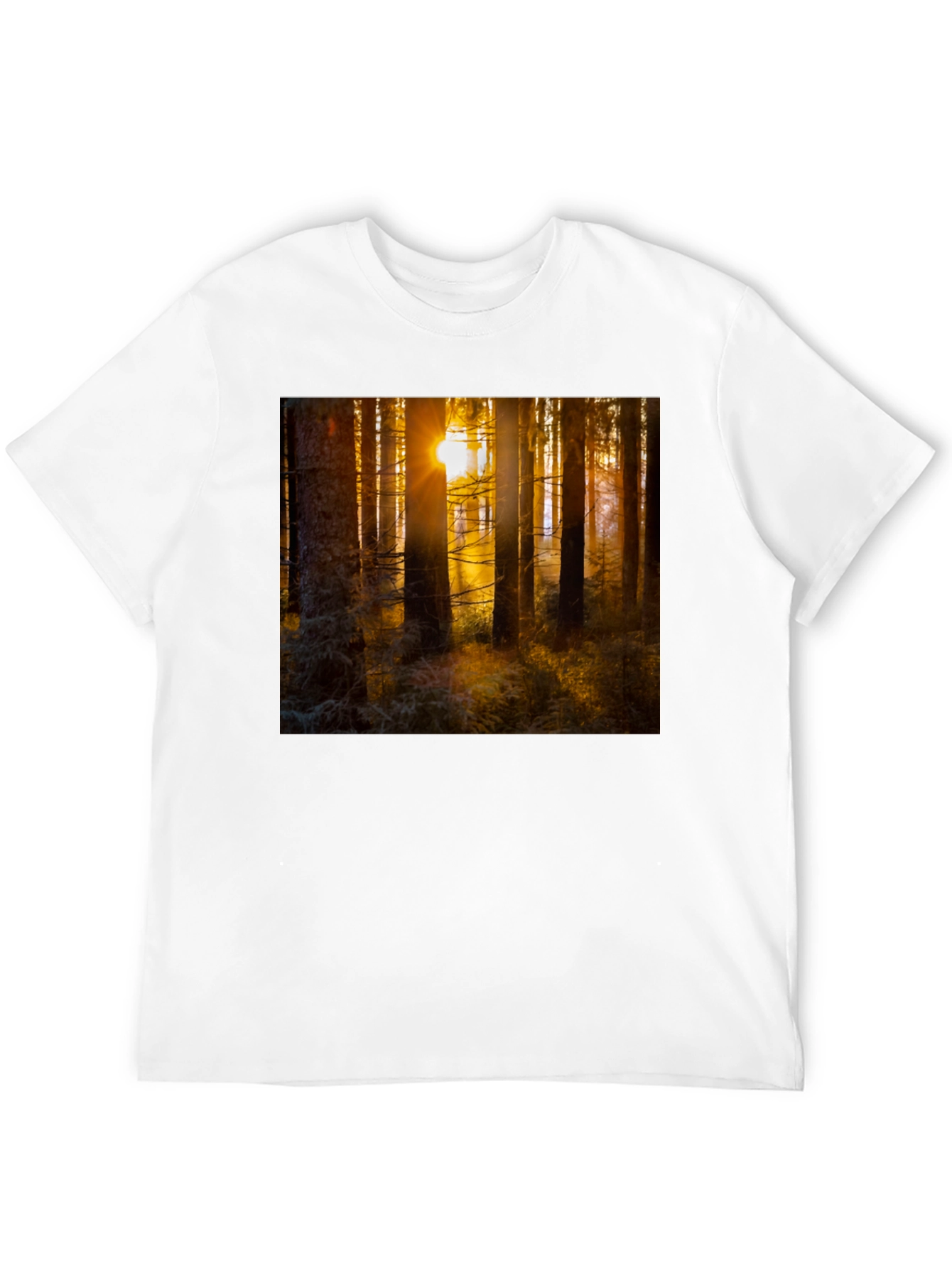 Black Forest Sun T-Shirt - Nature Inspired Apparel view 12