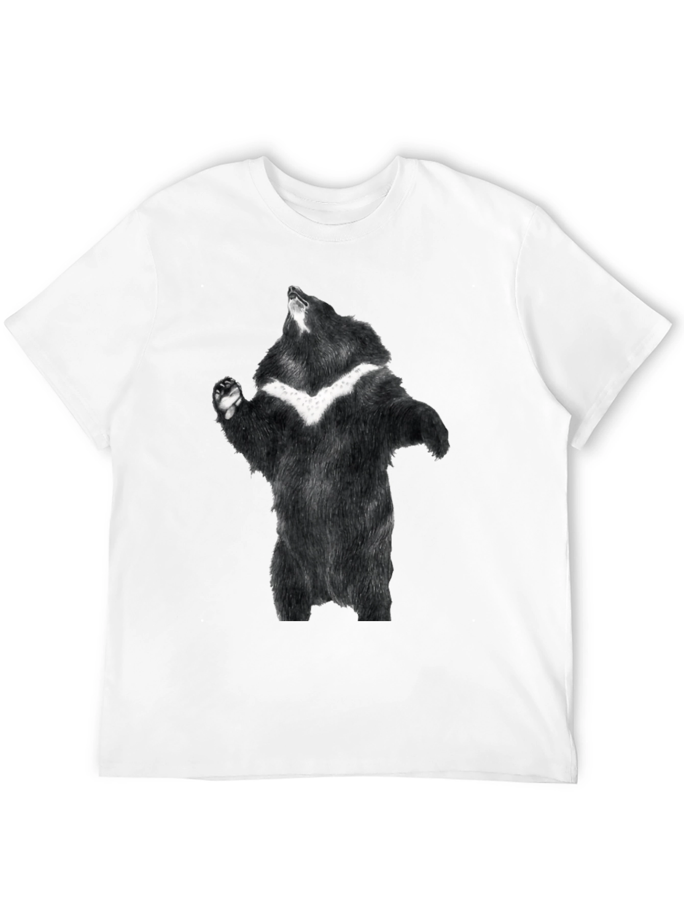 Black Black Bear Graphic Tee - Men's Short Sleeve Shirt view 12