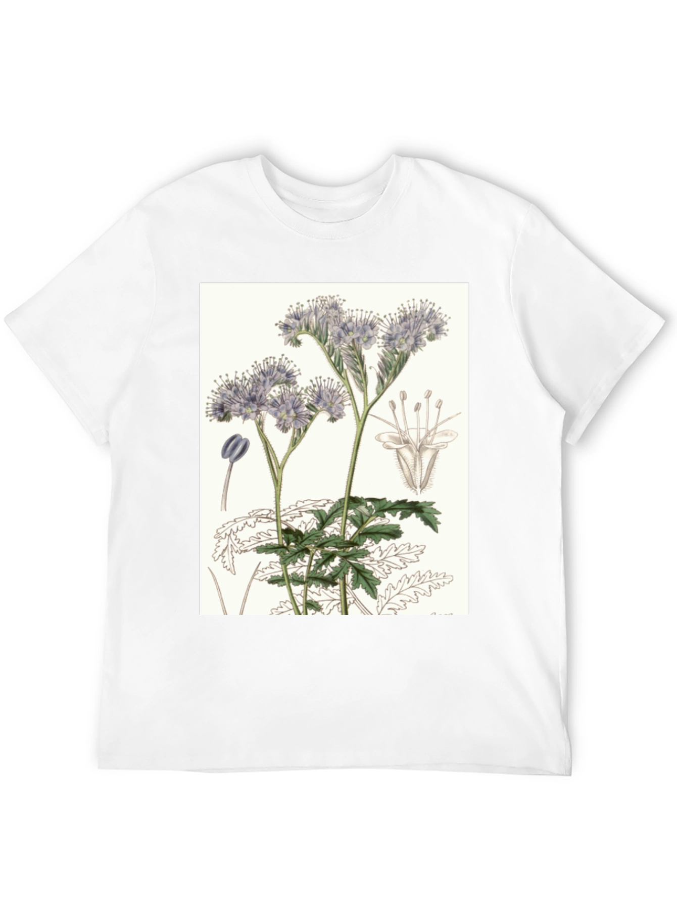 Black Botanical Flower T-Shirt view 12