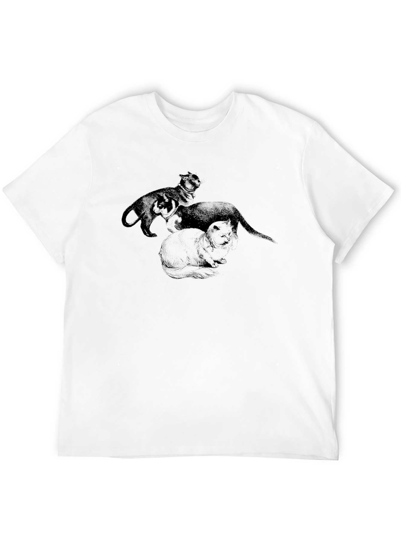 Black Black Cat Trio Graphic Tee view 12