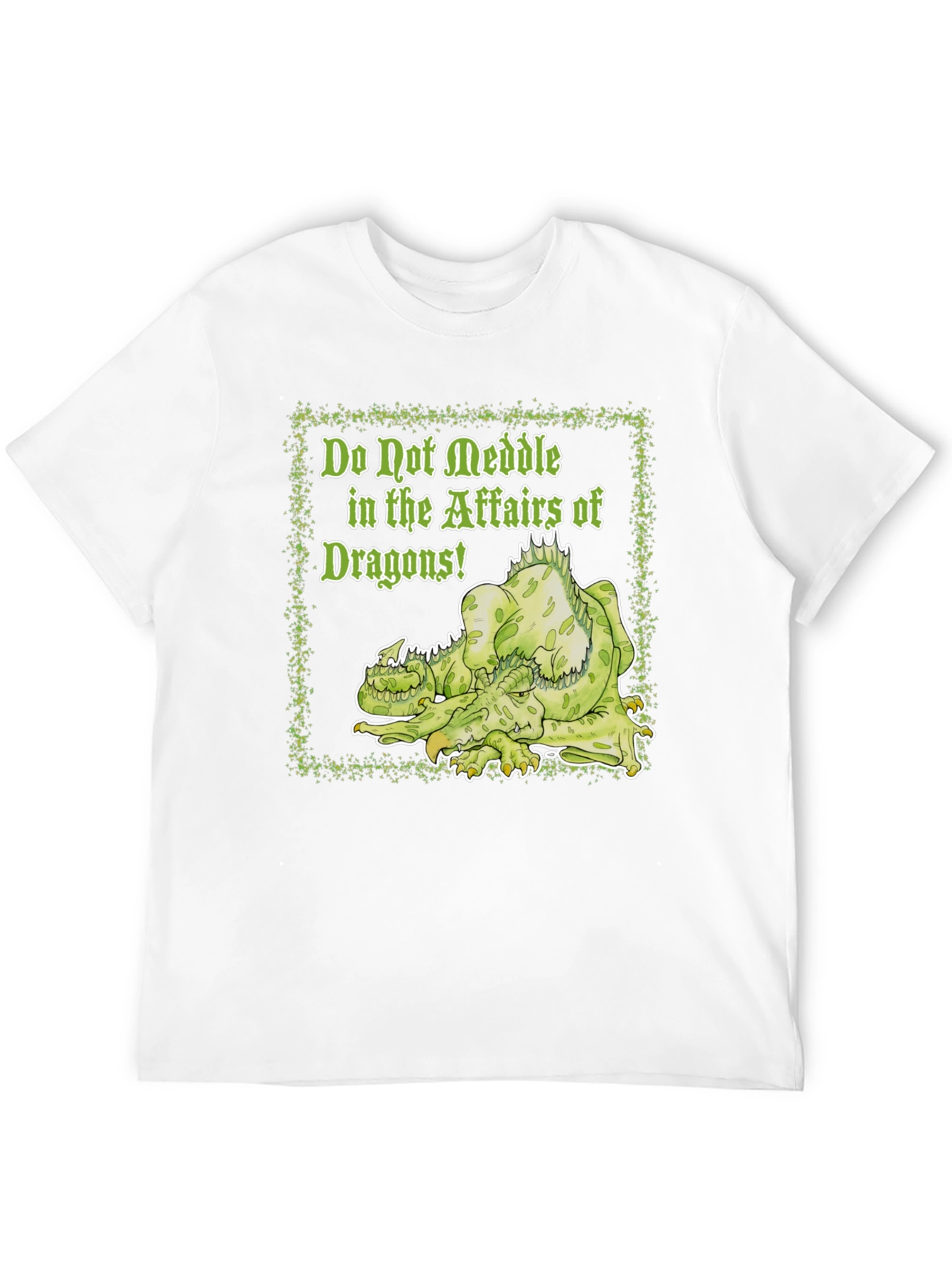 Do Not Meddle Dragons T-Shirt - 12
