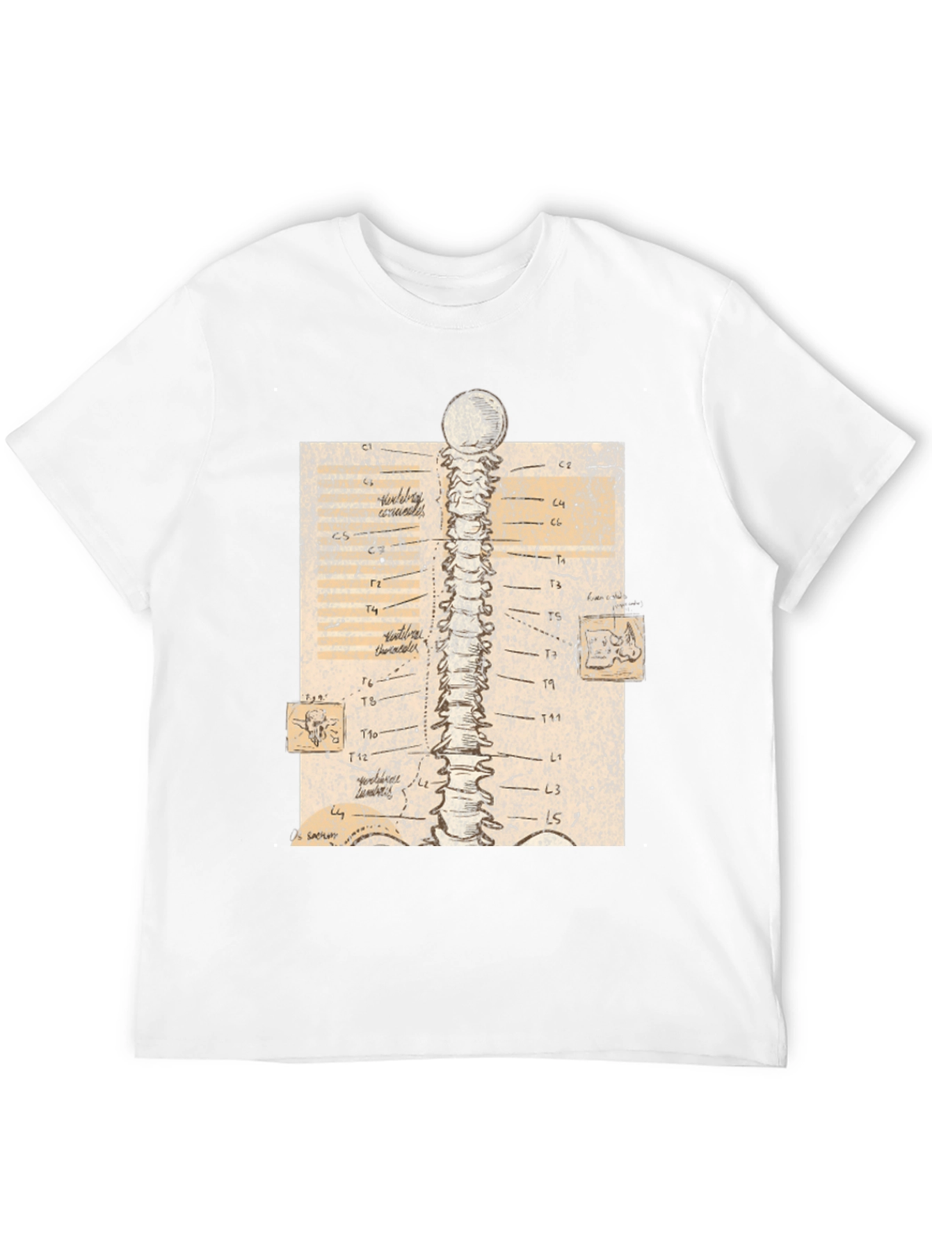 Black Anatomical Spine Graphic Tee - Black view 12