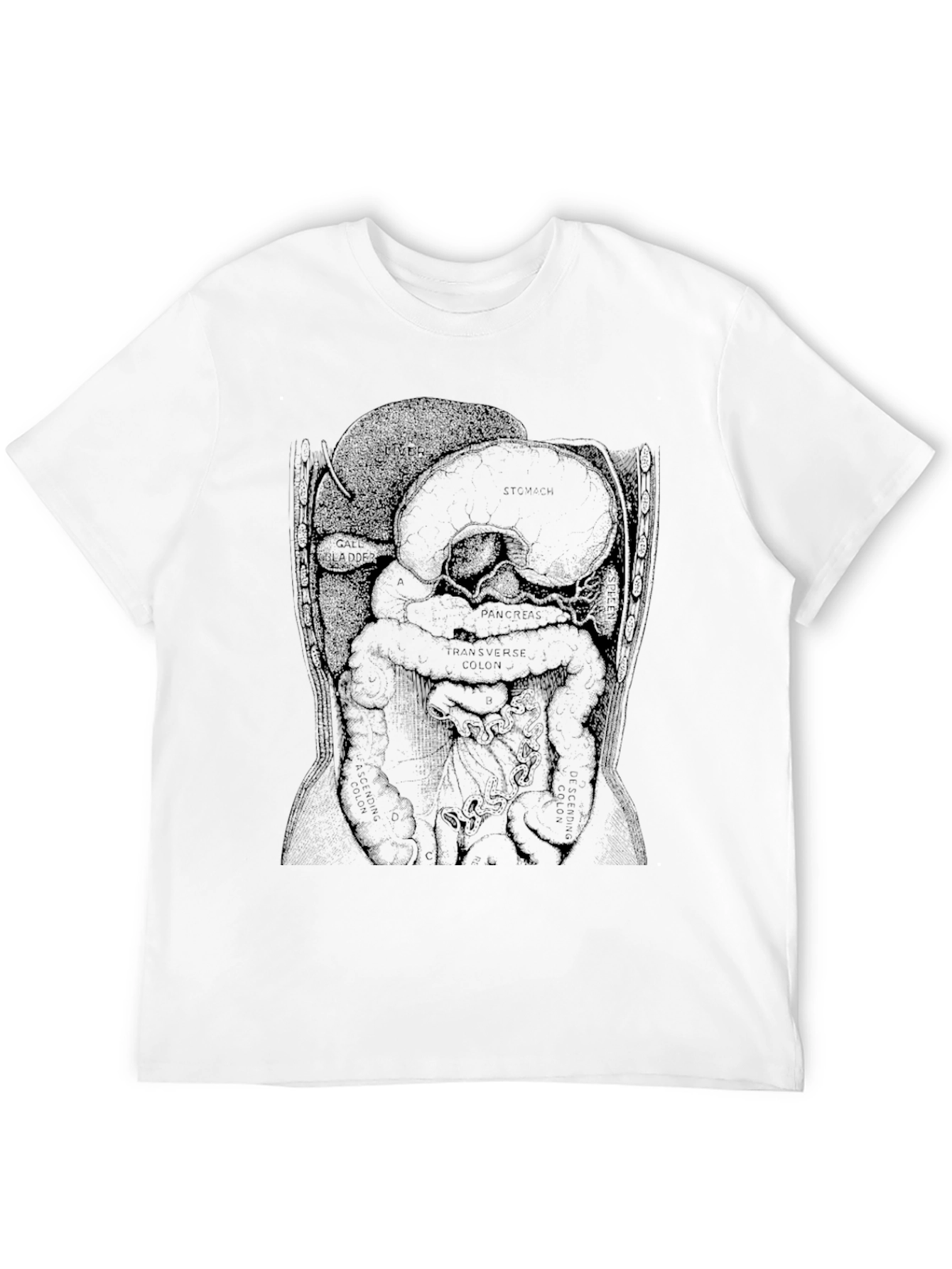 Black Anatomical Diagram T-Shirt - Black view 12