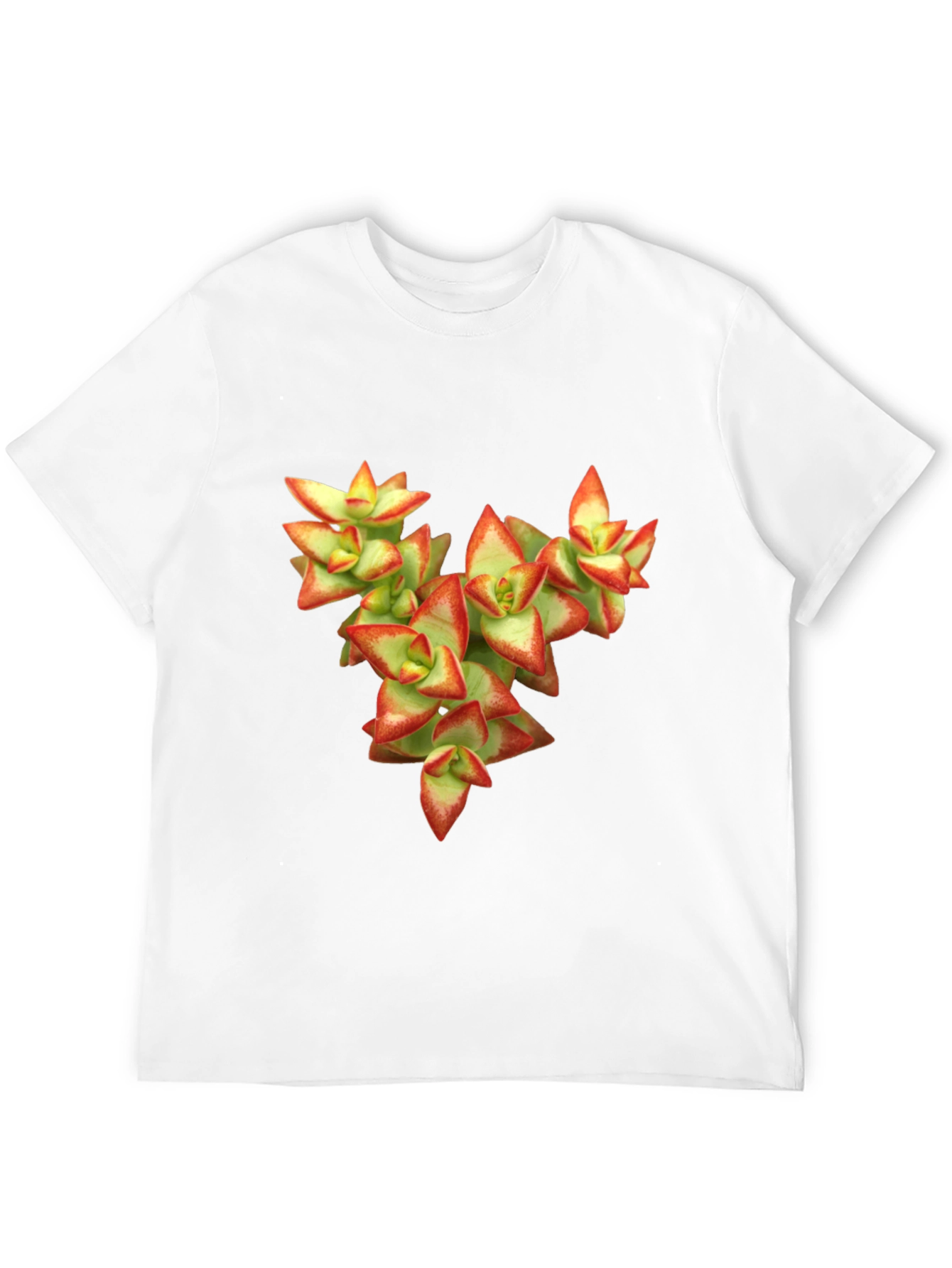 Black Succulent Graphic T-Shirt - Nature Inspired Tee view 12