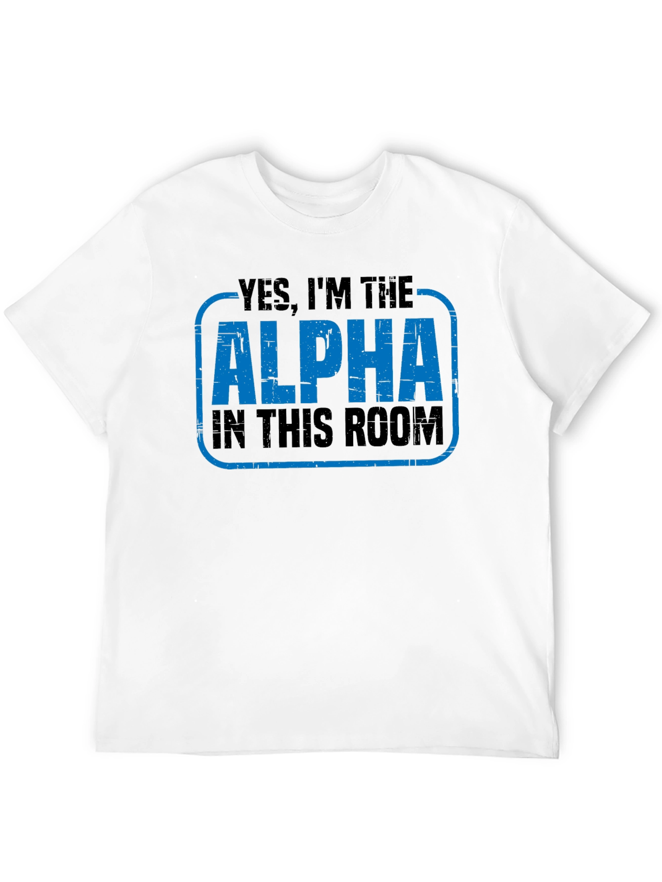 Black Alpha In This Room Graphic T-Shirt view 12