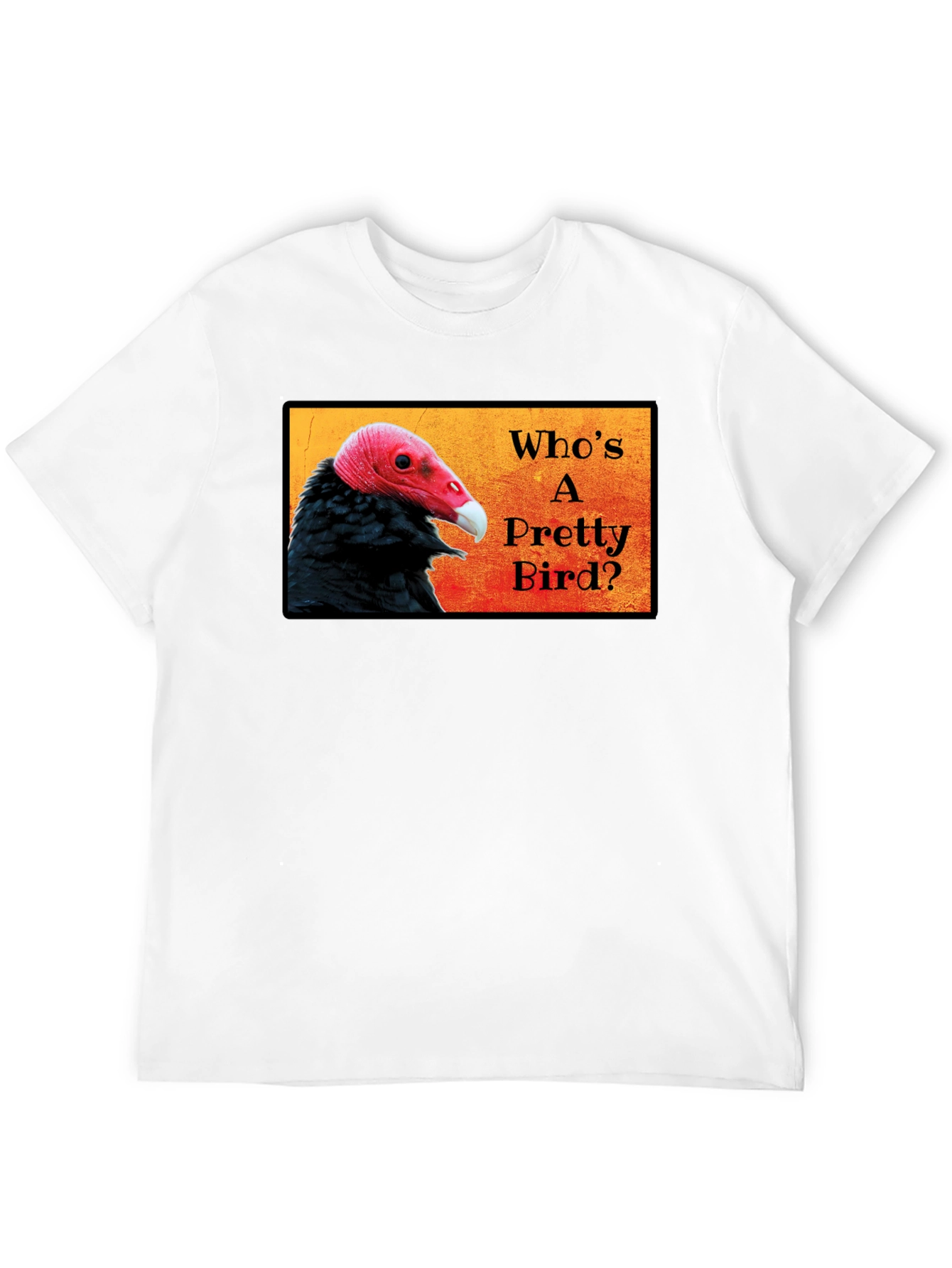 Black Who's a Pretty Bird? Vulture Graphic T-Shirt view 12