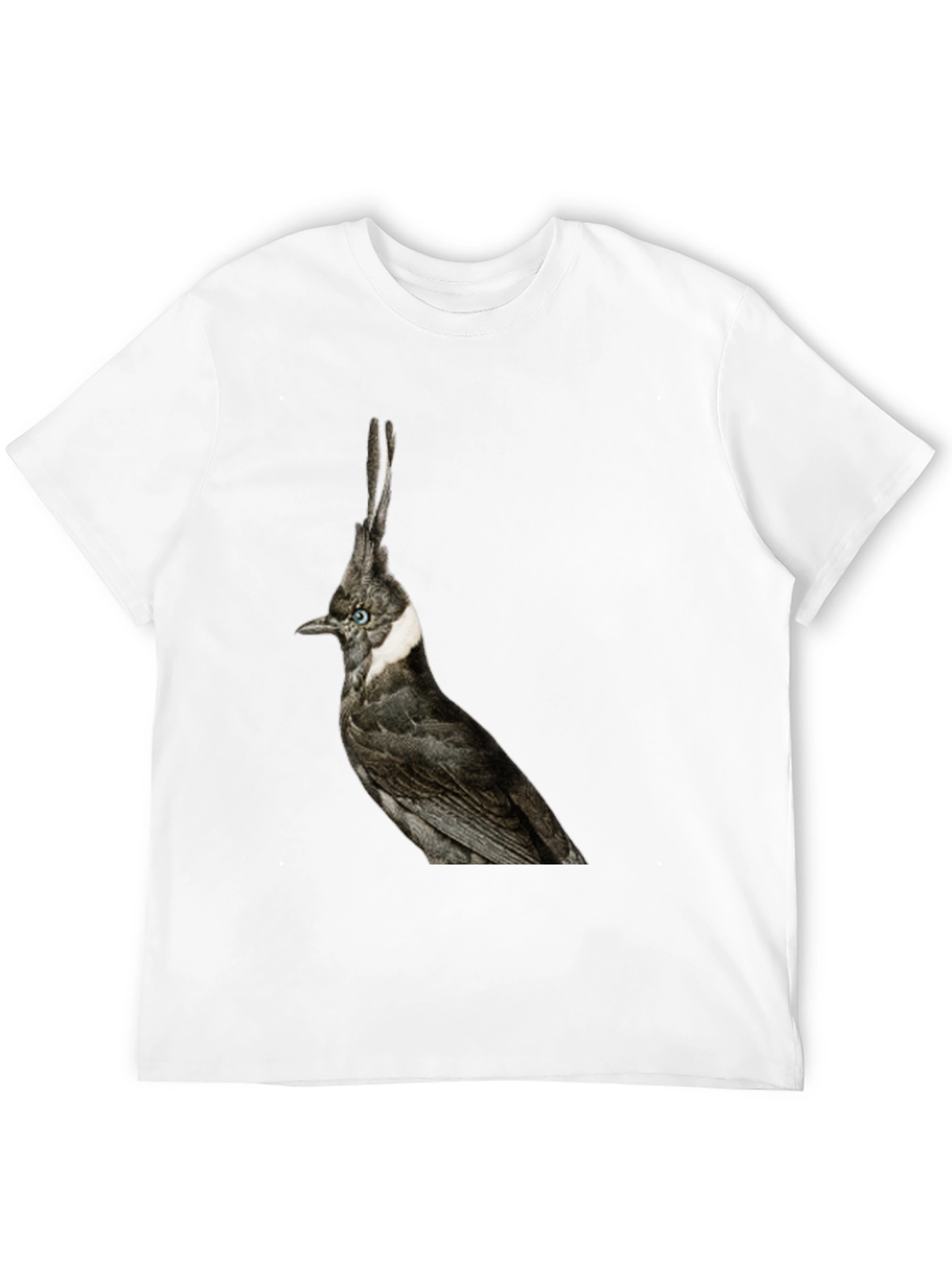 Black Crested Bird Graphic T-Shirt - Unique Style view 12