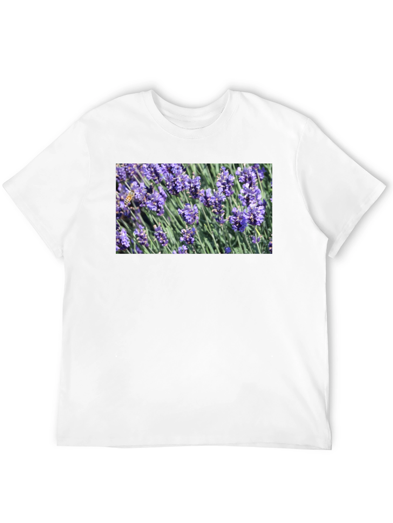 Black Floral Print T-Shirt: Bee on Lavender view 12