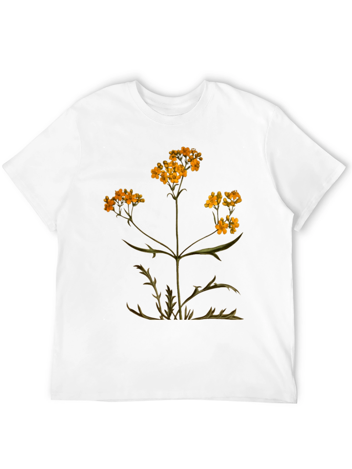 Black Botanical Graphic T-Shirt - Black Cotton Tee view 12
