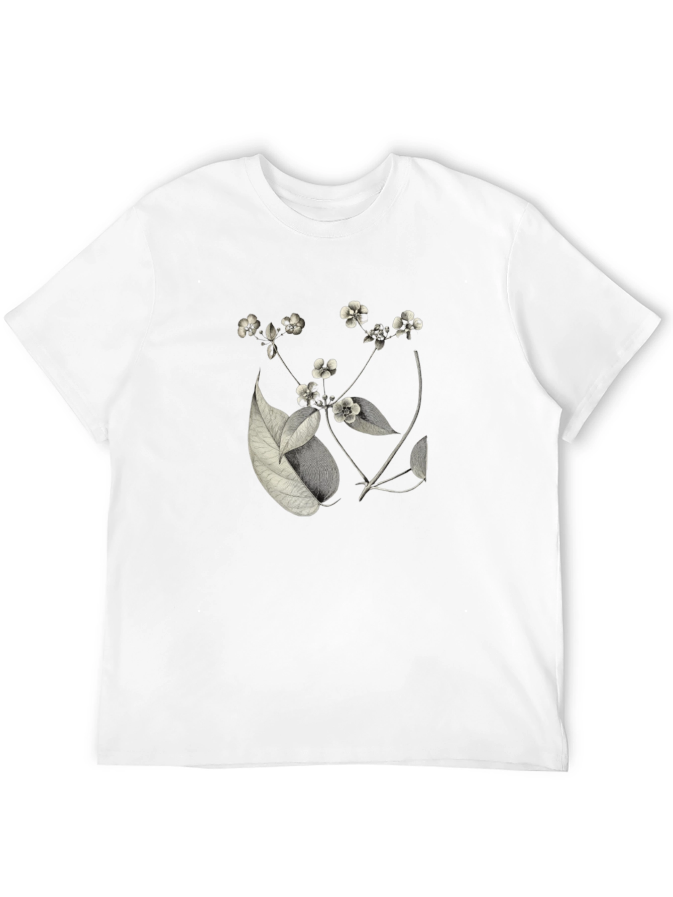 Black Botanical Print Black T-Shirt view 12