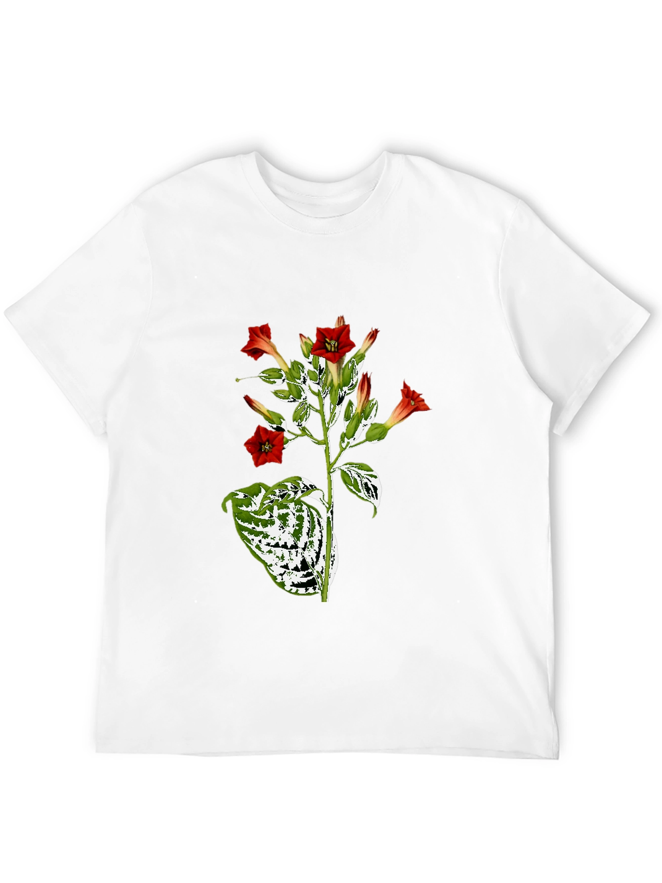 Black Botanical Floral Graphic Tee - Black Cotton T-Shirt view 12