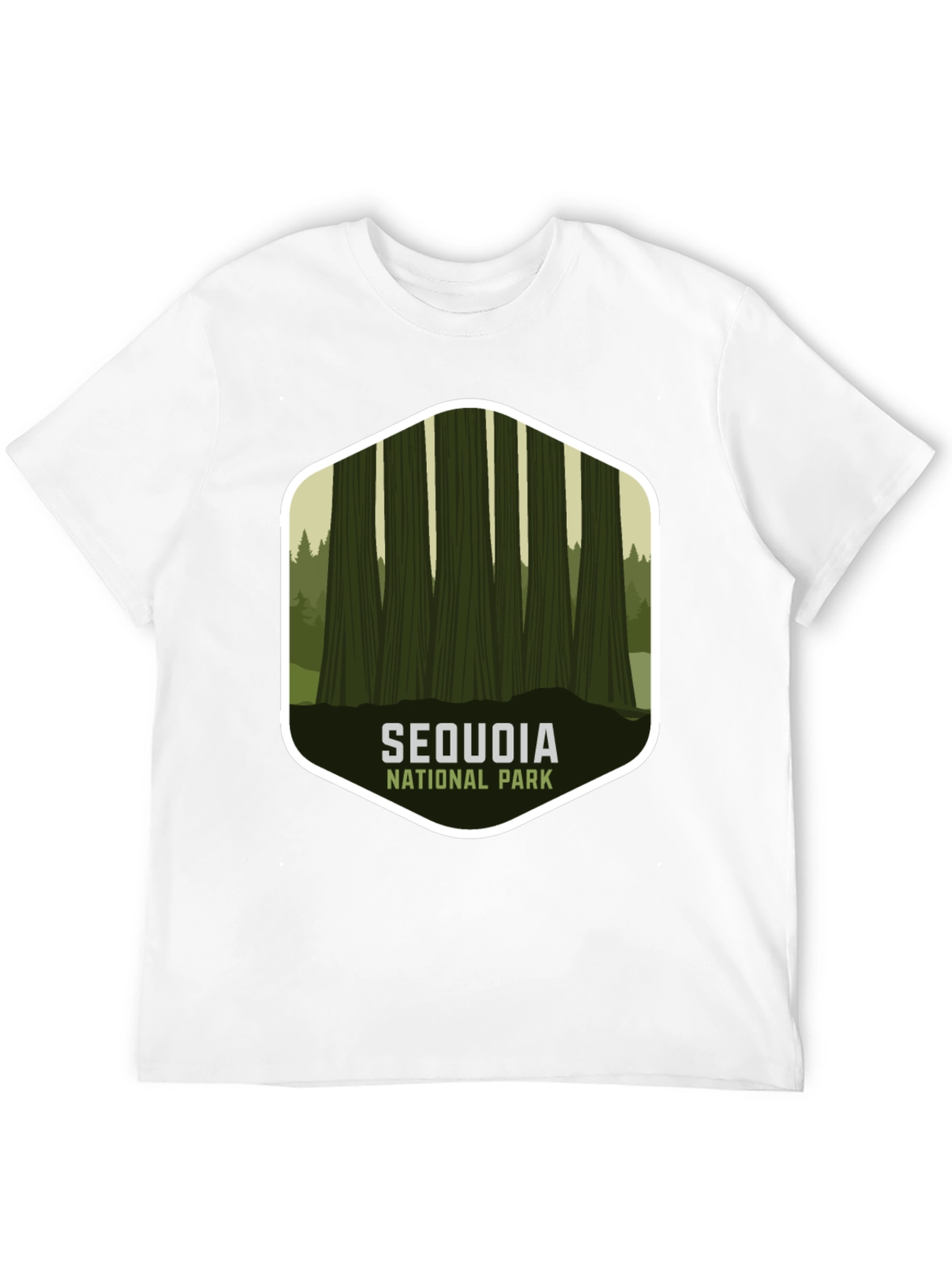 Black Sequoia National Park Graphic Tee - Black view 12