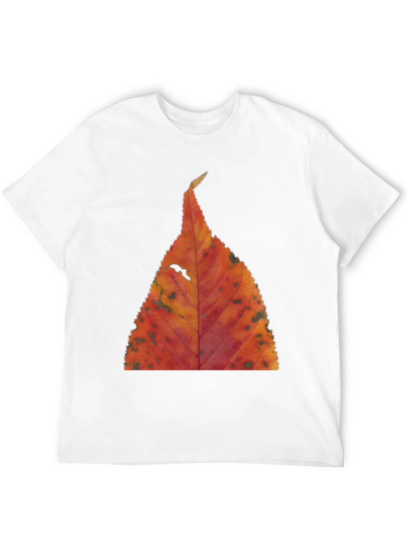 Black Fall Leaf Print Black T-Shirt view 12