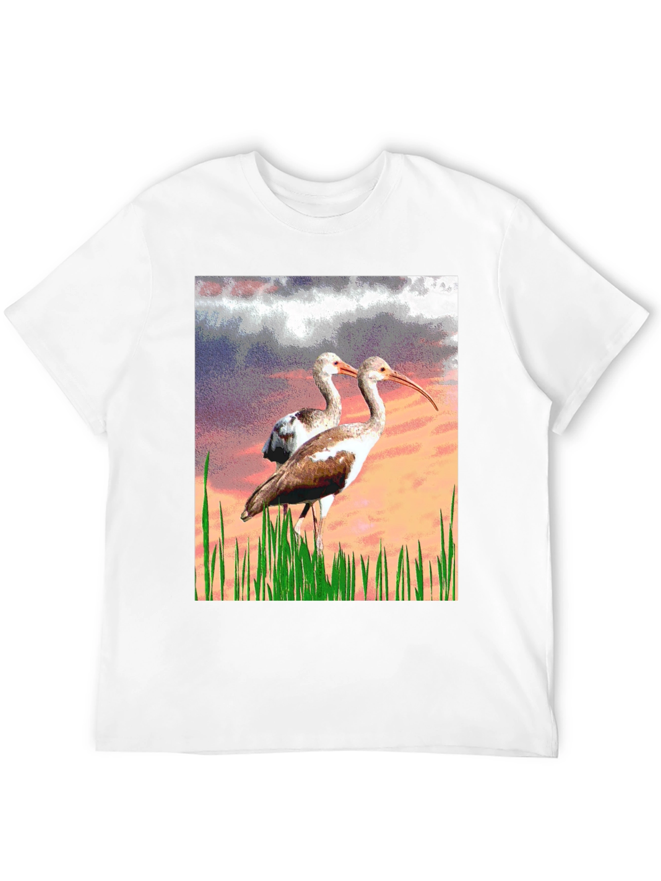 Black Ibis Bird Graphic Print Black T-Shirt view 12