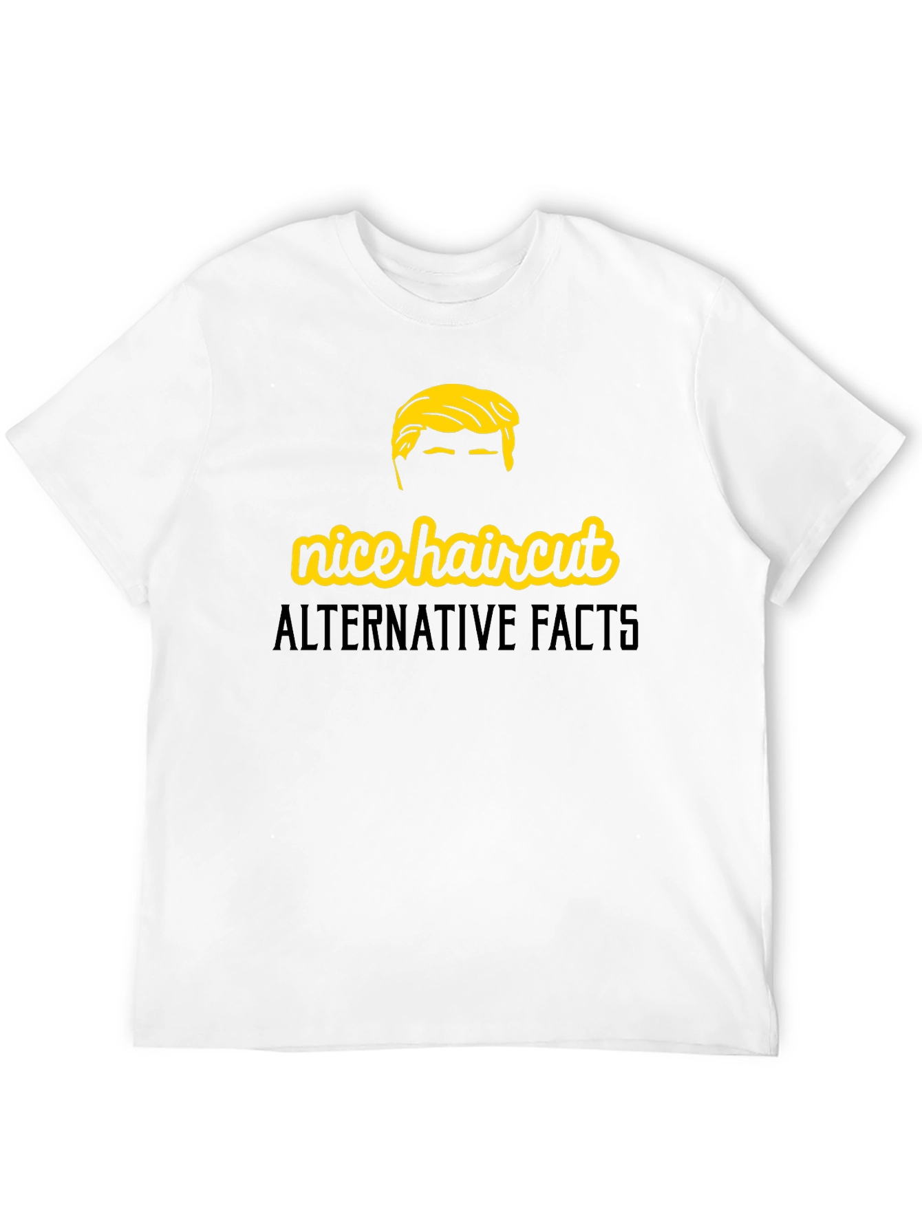 Black Nice Haircut Alternative Facts Graphic T-Shirt view 12