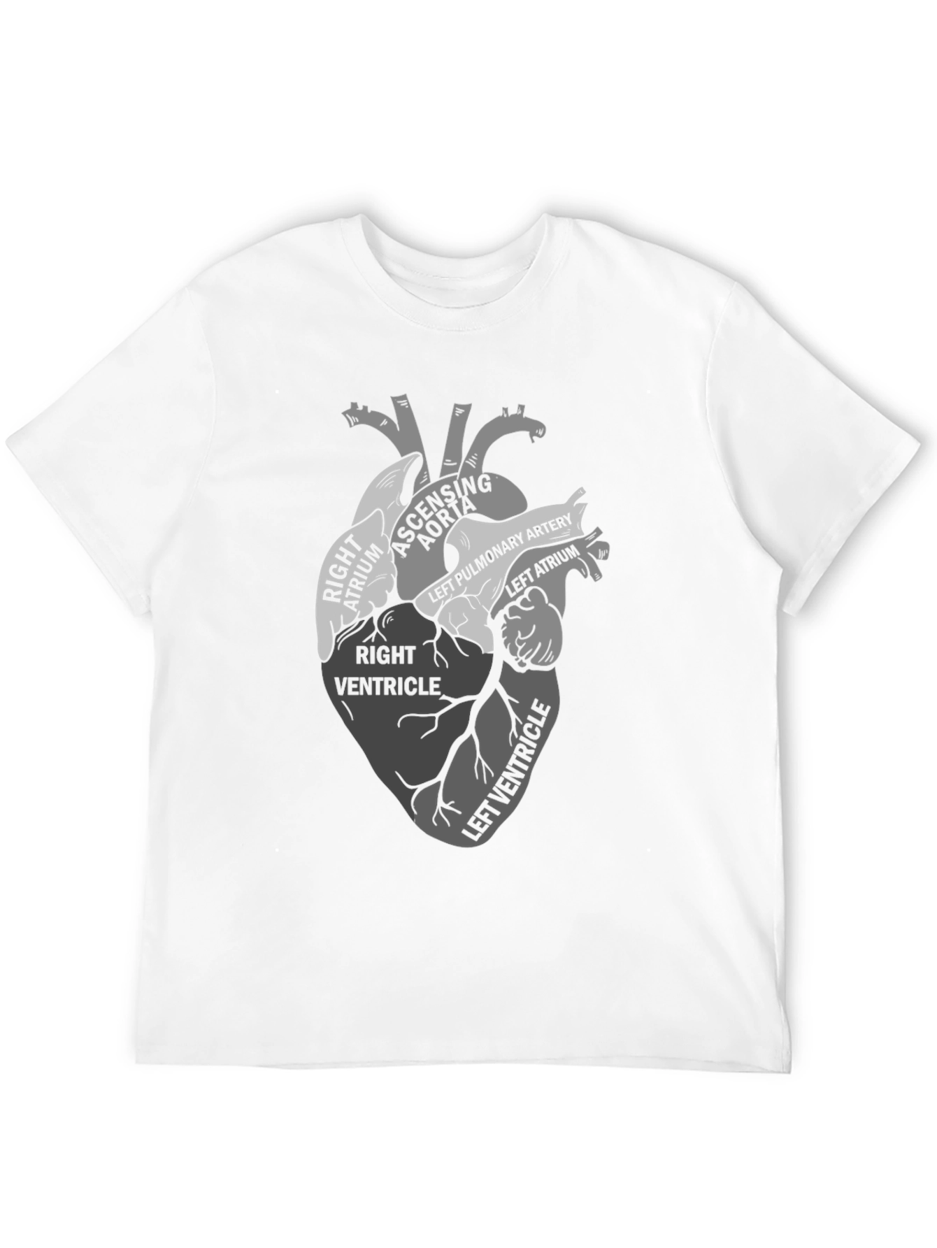 Black Anatomical Heart Diagram T-Shirt view 12