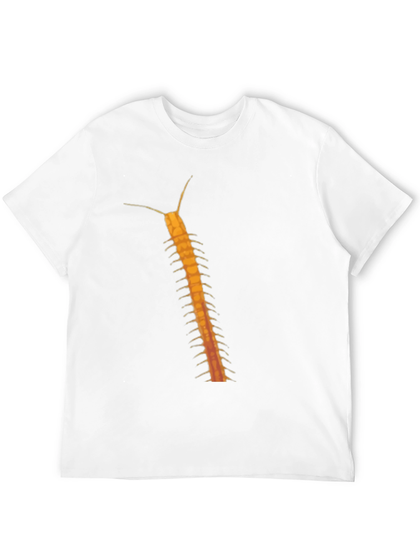 Black Centipede Graphic Tee - Black Cotton T-Shirt view 12