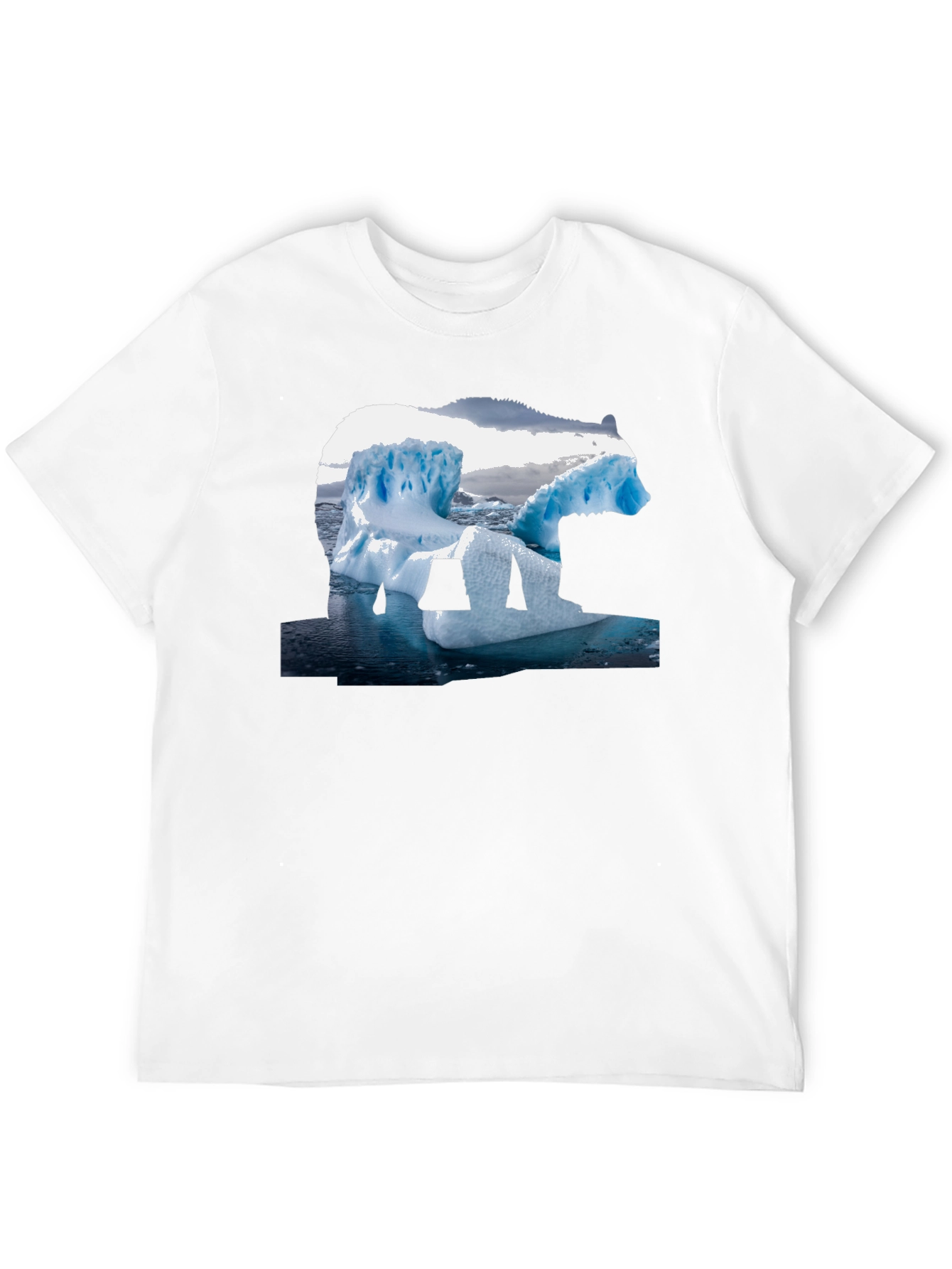 Black Polar Bear Iceberg Graphic Tee - Black Cotton T-Shirt view 12