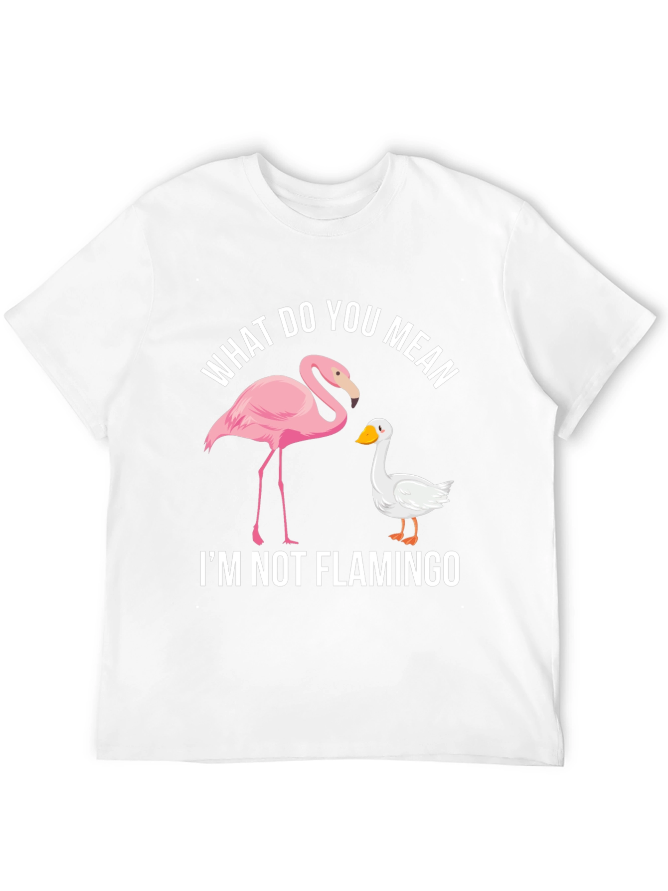 Black Funny "I'm Not Flamingo" Graphic Tee view 12