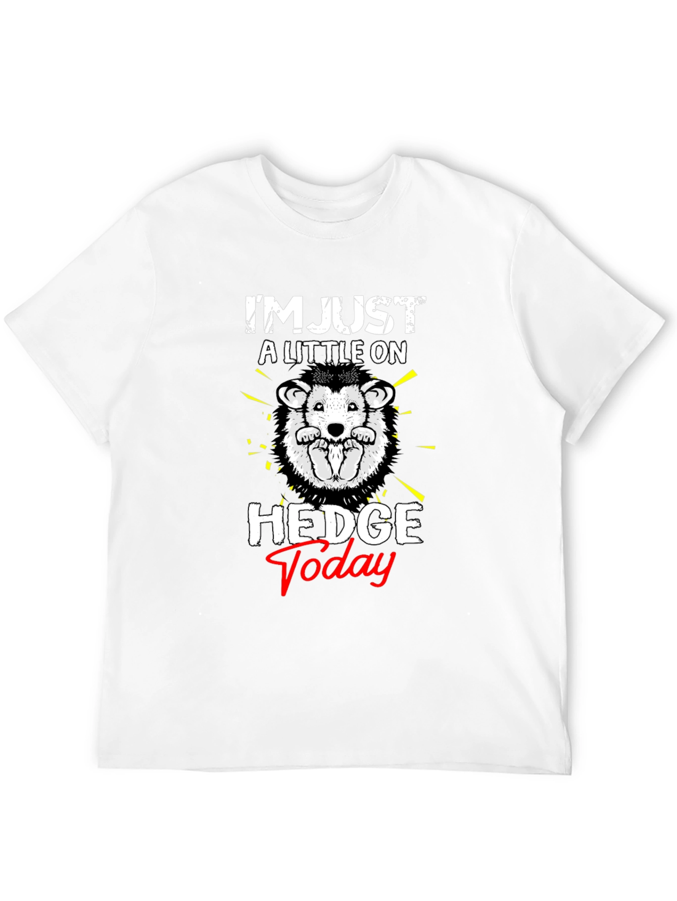 Black Hedgehog 'Hedge Today' Graphic T-Shirt view 12