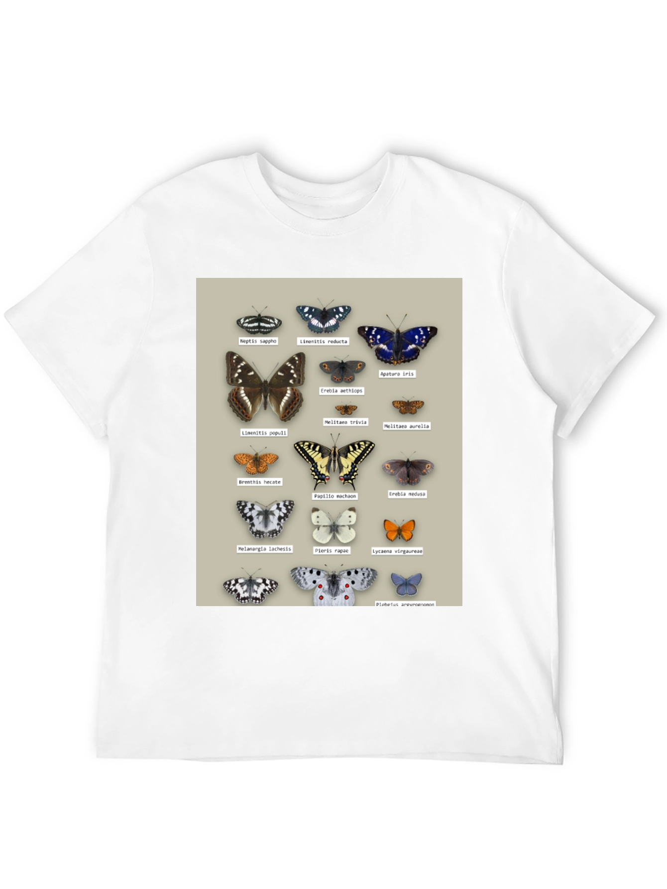 Black Butterfly Print T-Shirt | Nature Lover Apparel view 12