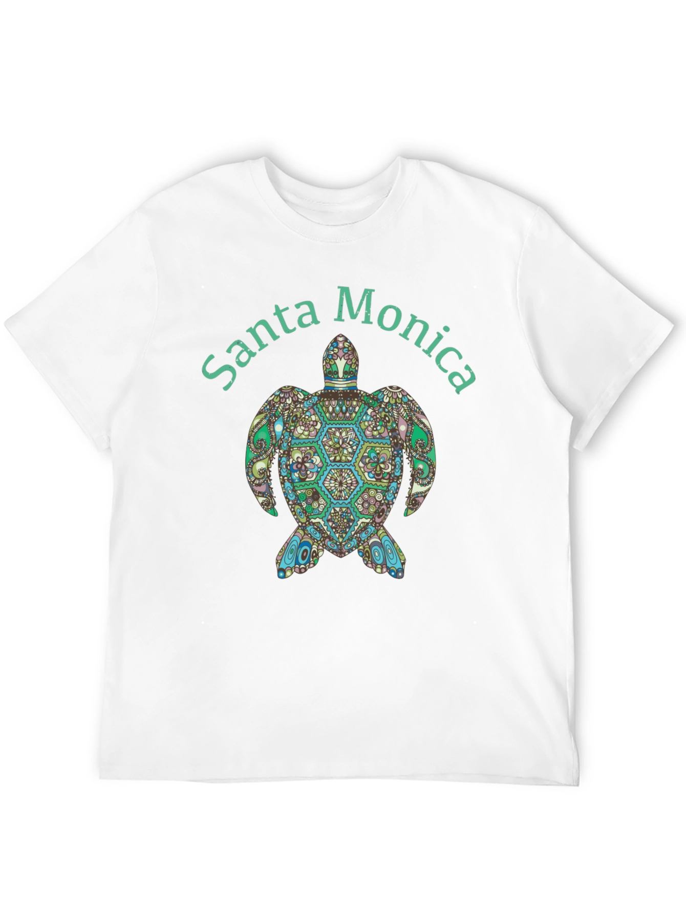 Black Santa Monica Turtle Graphic Tee - Black view 12