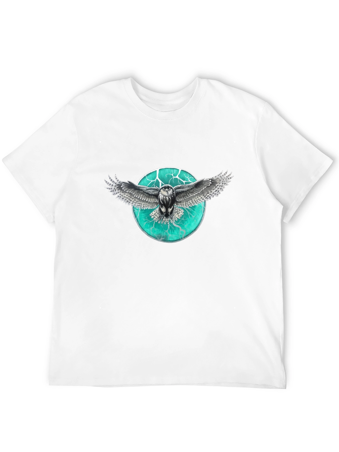 Black Owl Graphic Print Men's T-Shirt view 12