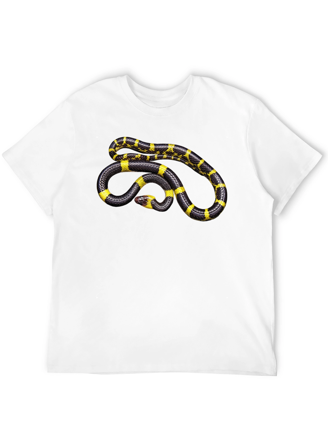Black Snake Graphic T-Shirt - Black Cotton Tee view 12
