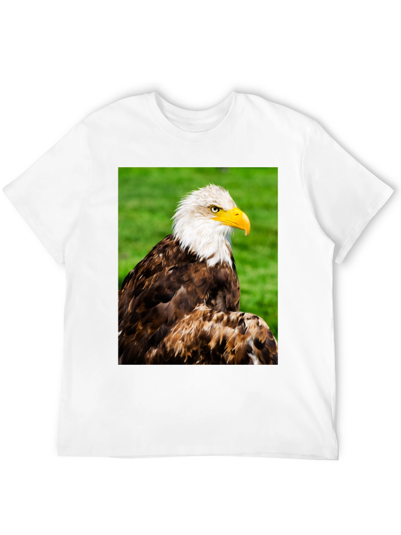 Black Bald Eagle Graphic T-Shirt view 12