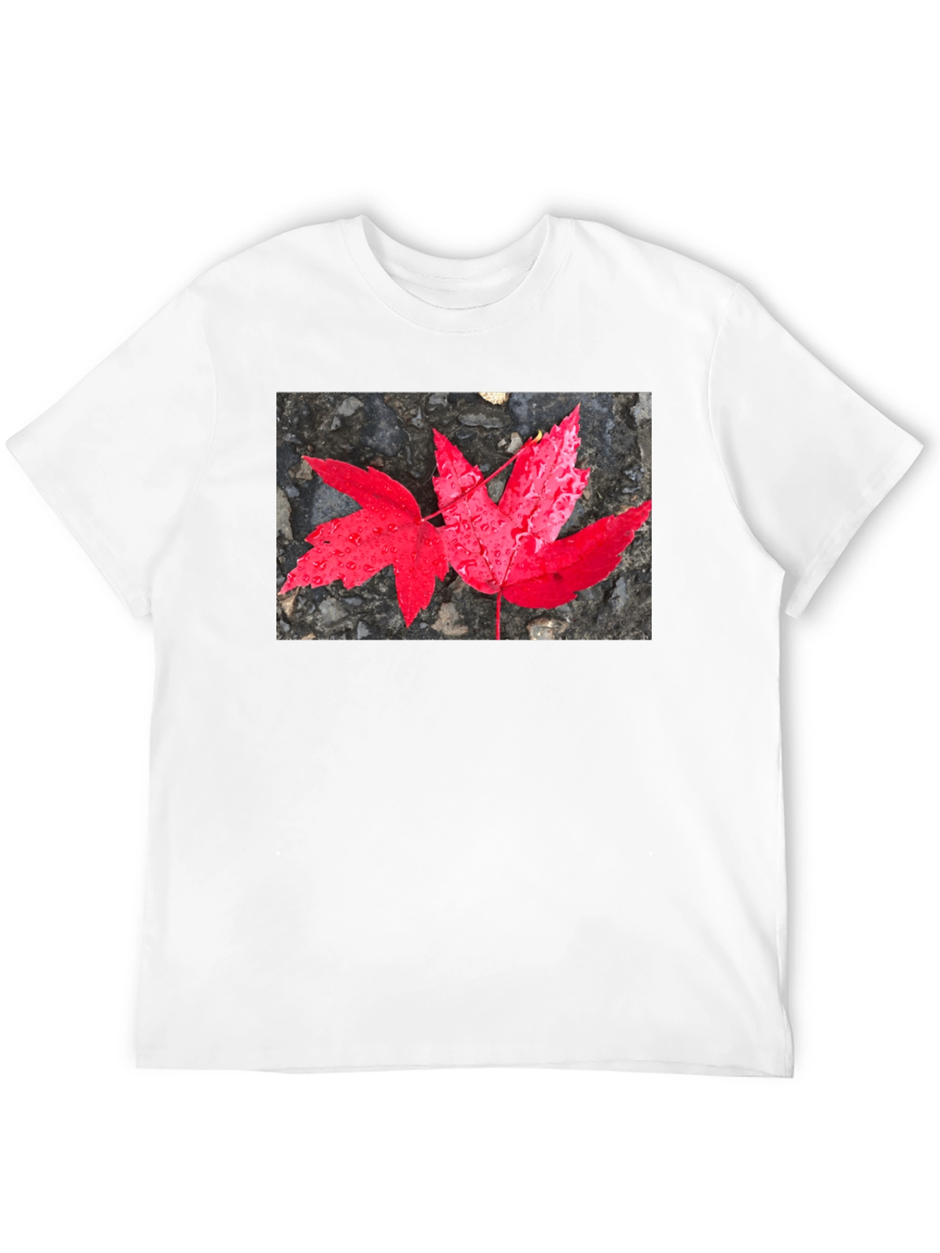 Black Red Maple Leaf Graphic T-Shirt view 12