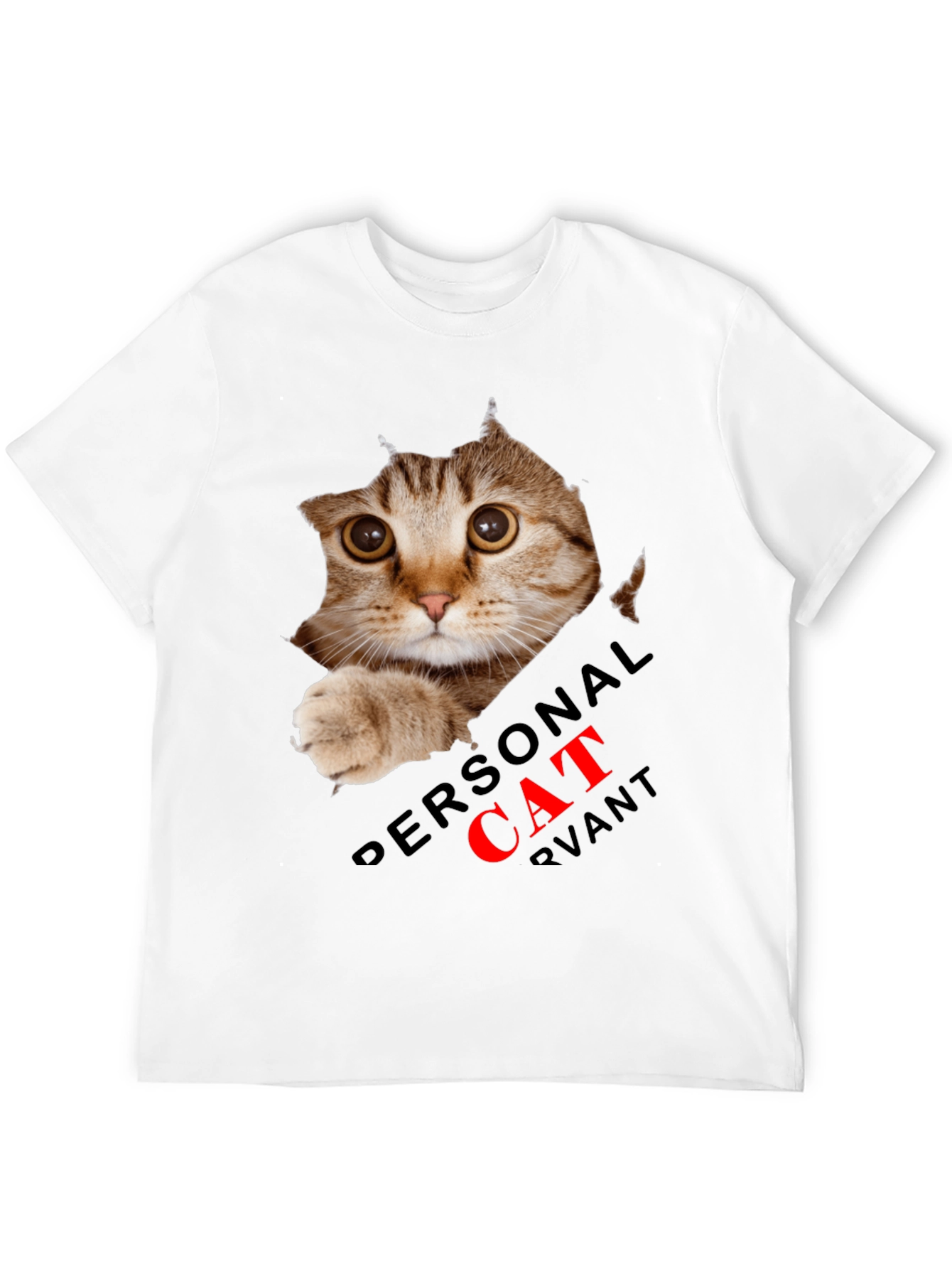 Black Personal Cat Servant Graphic Tee - Black Cotton Blend view 12