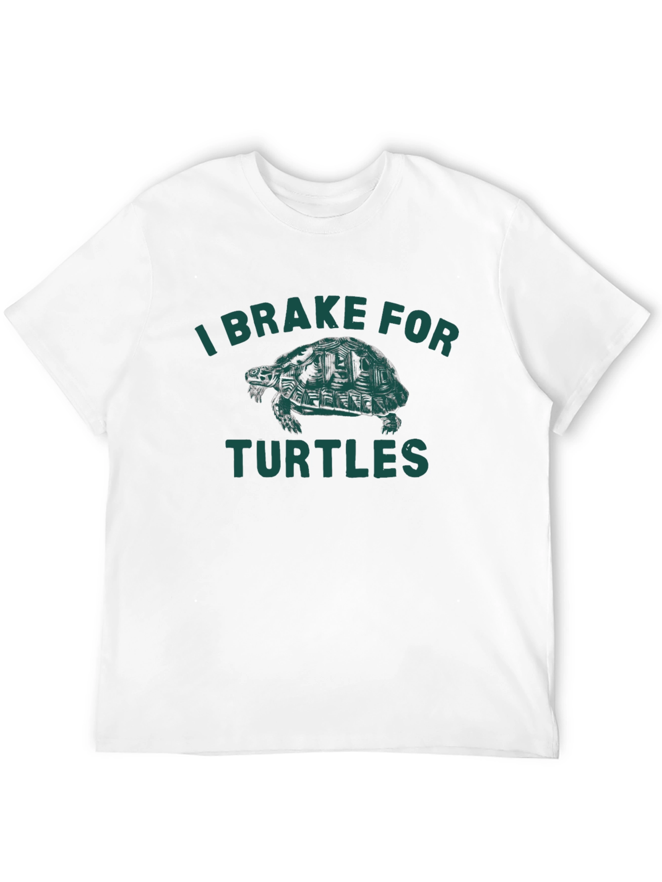 Black I Brake For Turtles Graphic Tee - Black view 12