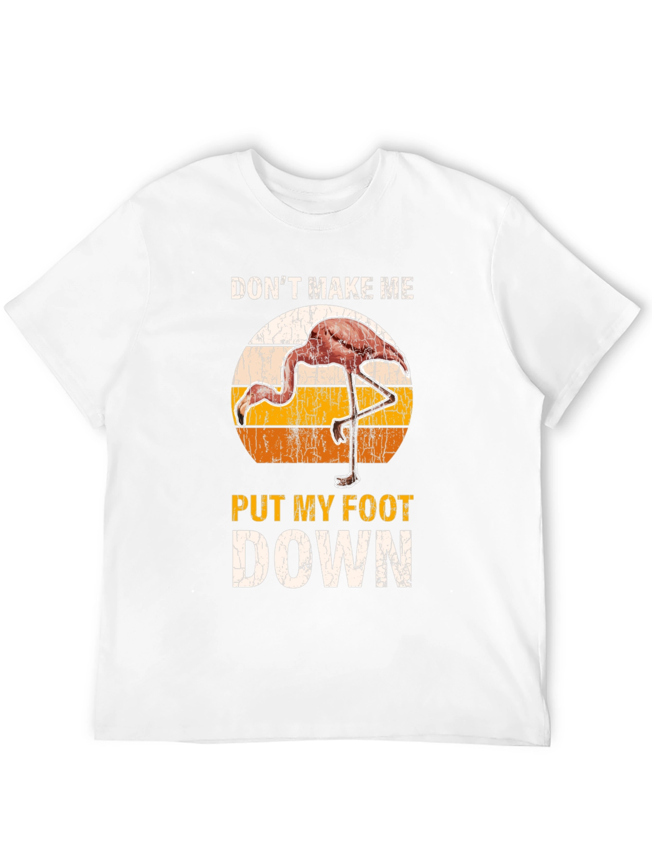 Black Don't Make Me Put My Foot Down Flamingo Graphic Tee view 12