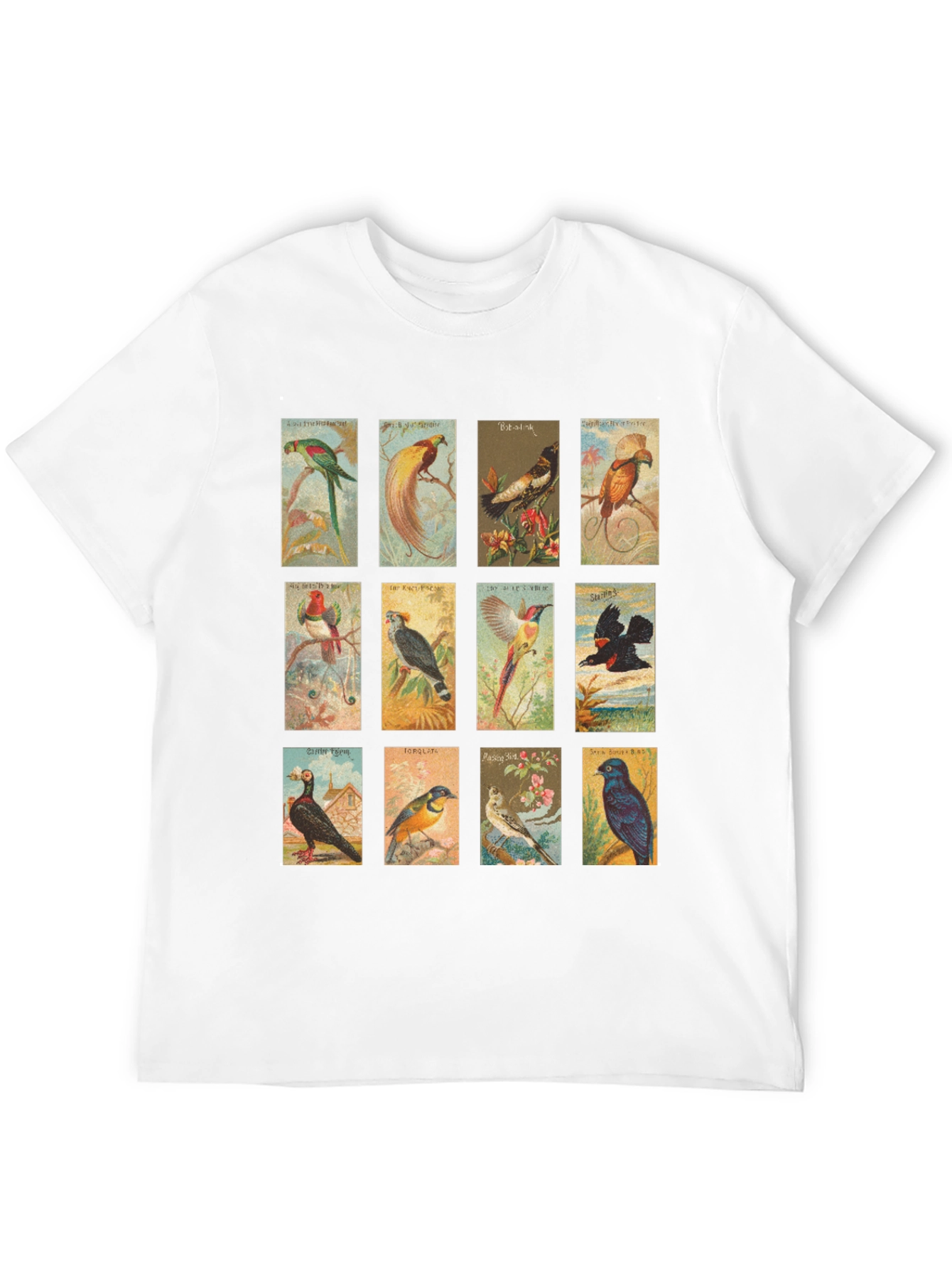 Black Vintage Birds Black T-Shirt view 12