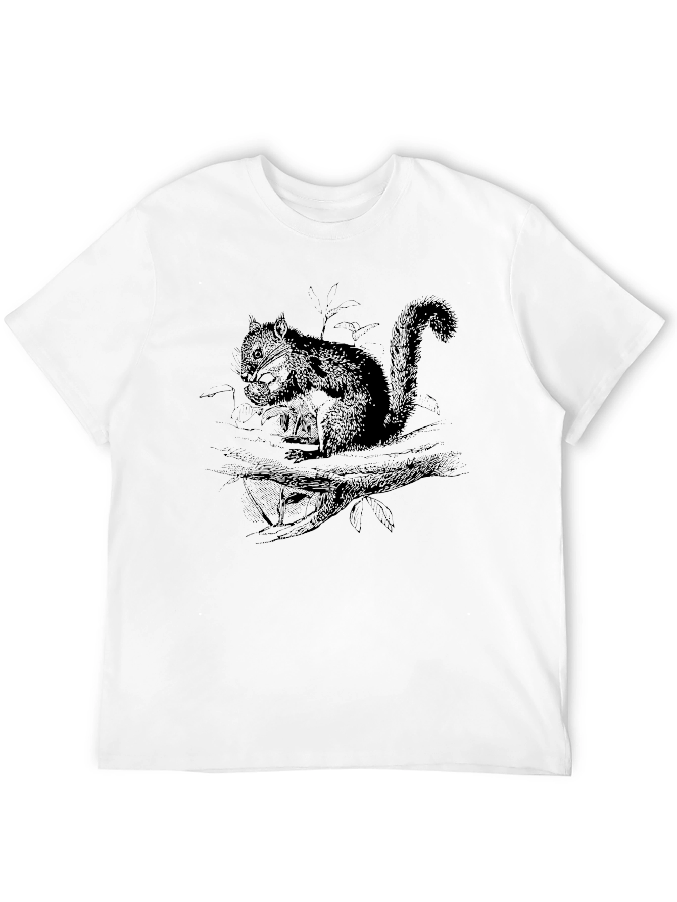 Black Squirrel Graphic Black T-Shirt view 12
