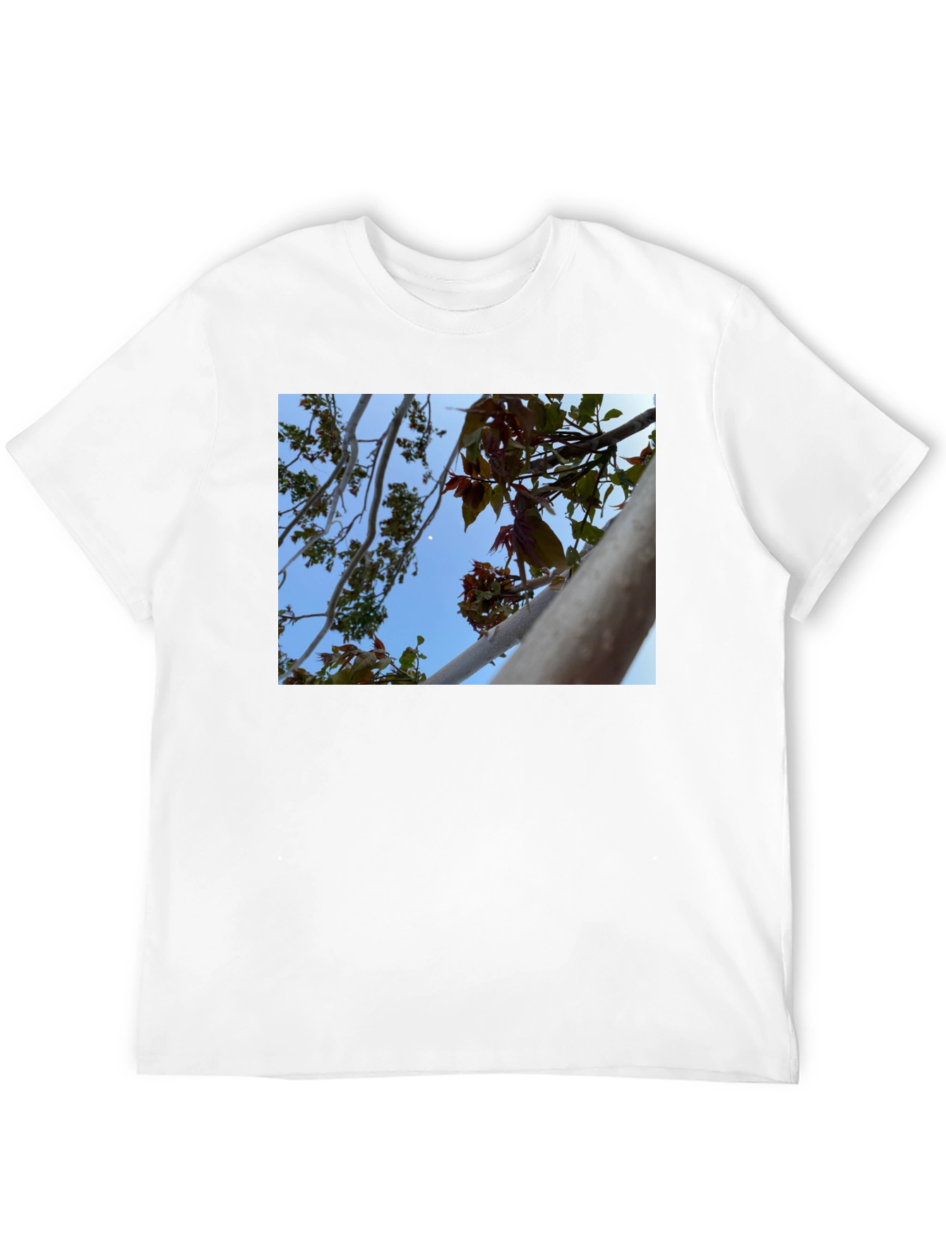 Black Nature View T-Shirt - Branches & Sky Design view 12